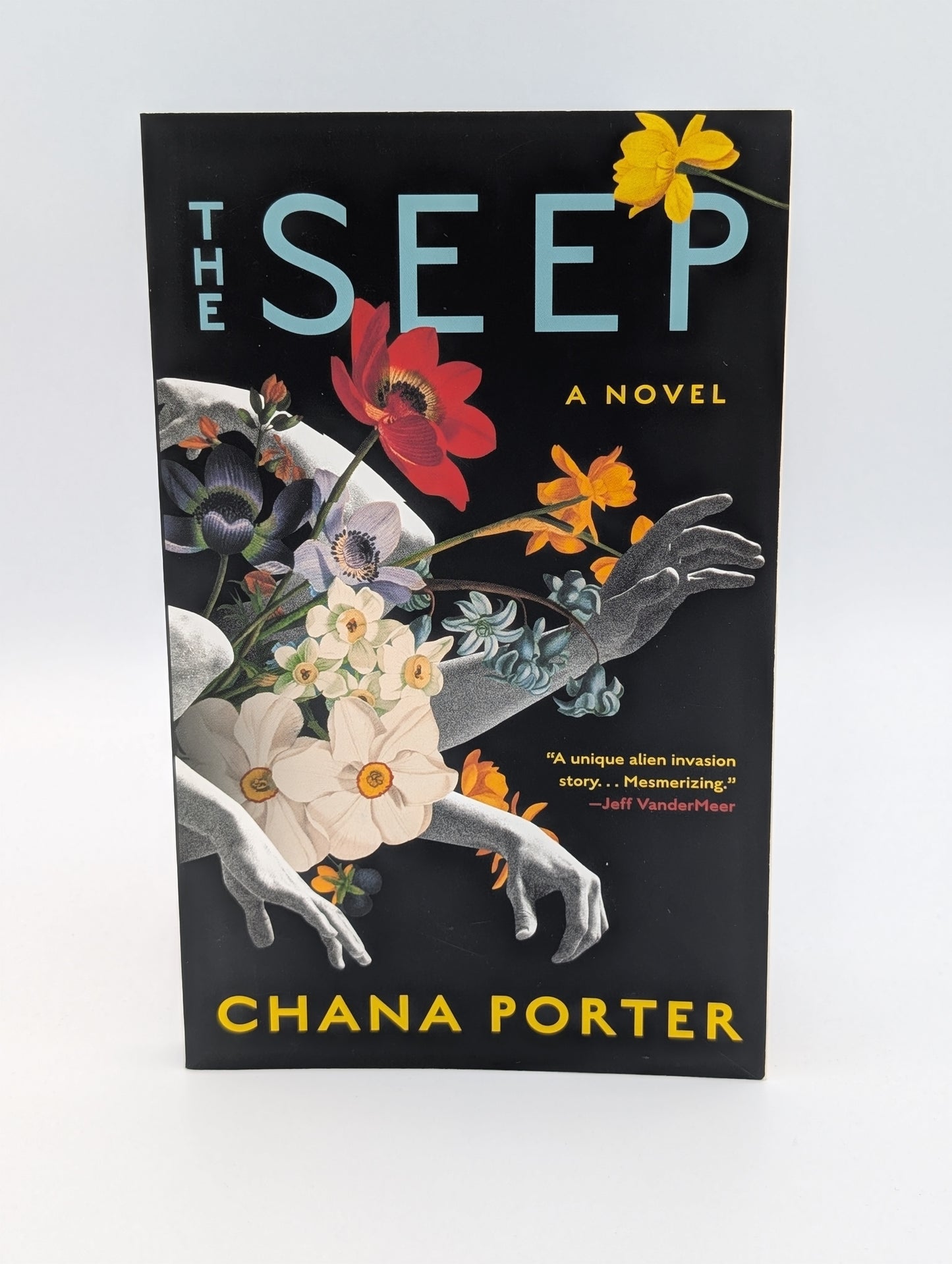 The Seep