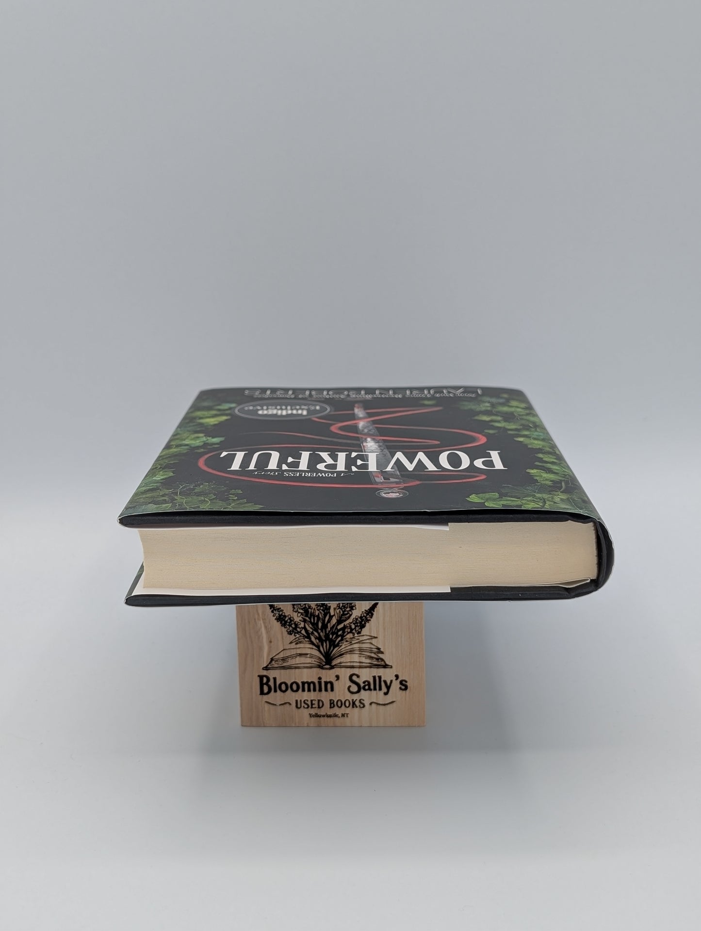 Puissant : Une histoire de personnes impuissantes (Édition Indigo)