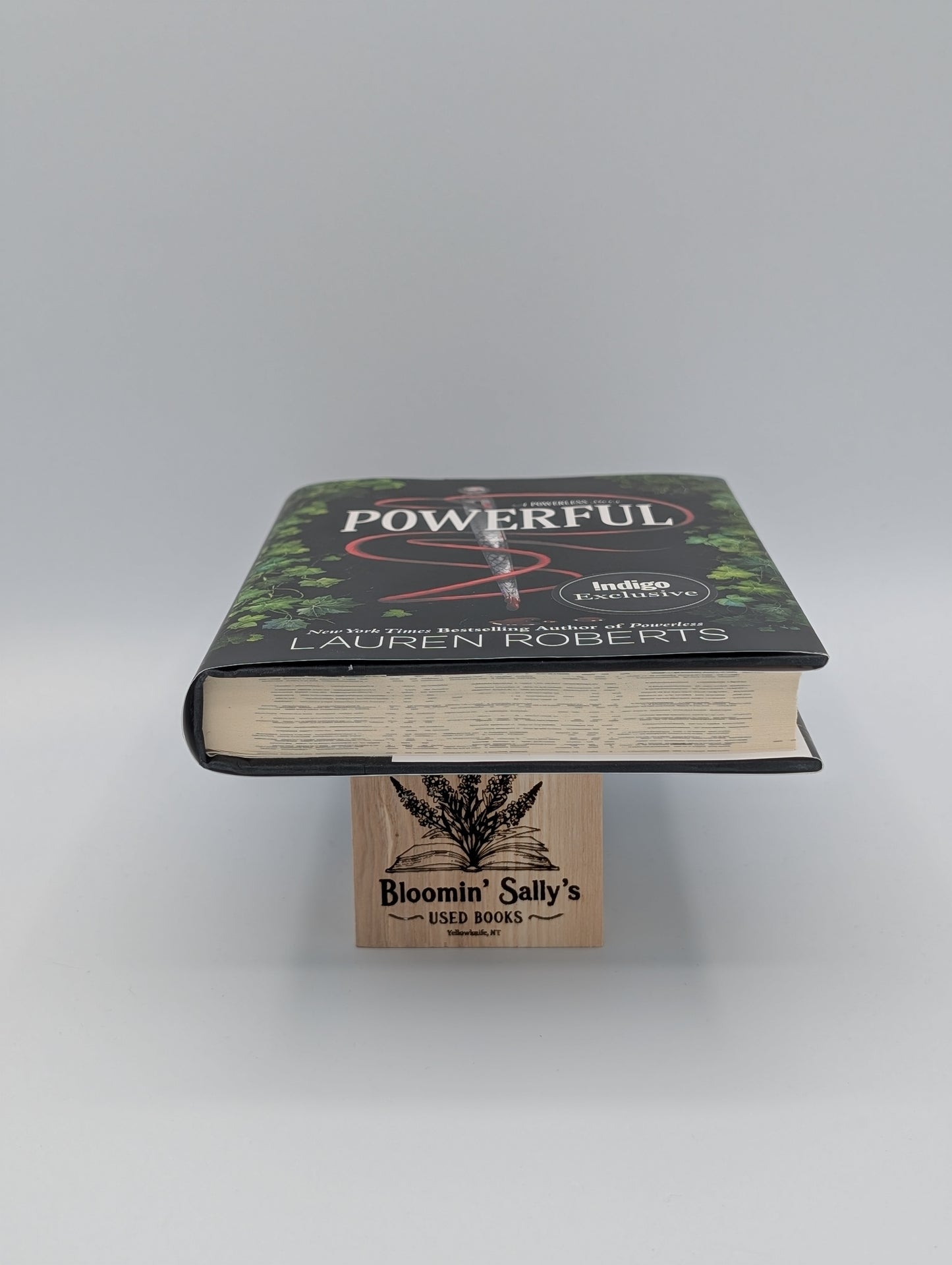 Puissant : Une histoire de personnes impuissantes (Édition Indigo)