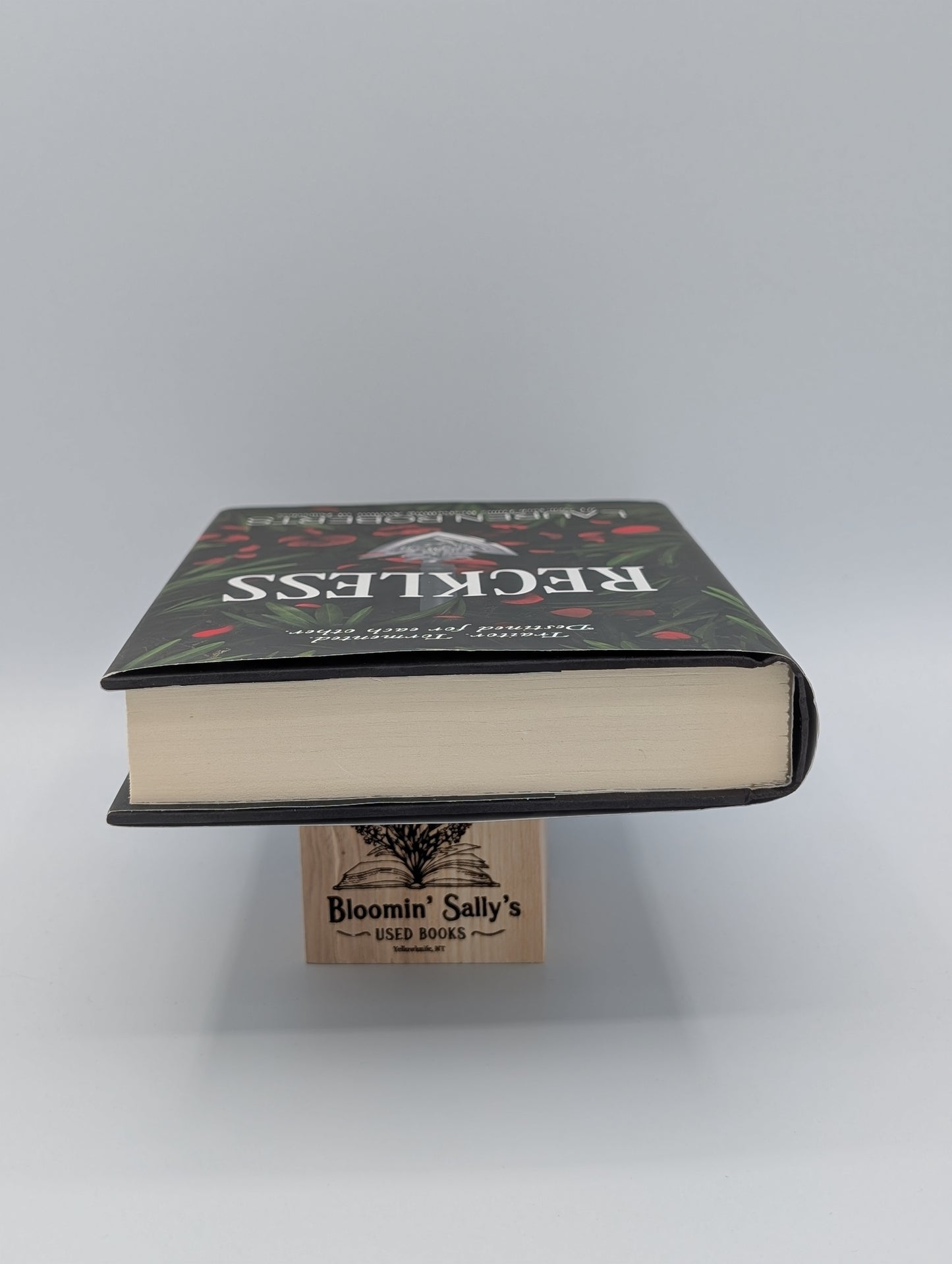 Imprudent(e) (La trilogie des impuissants)
