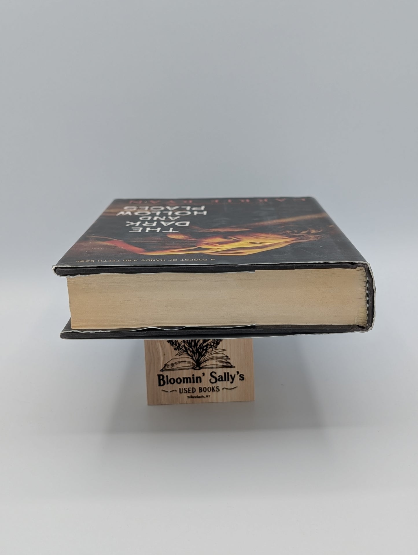 Les lieux sombres et creux (La forêt des mains et des dents, livre 3 - Le bien)