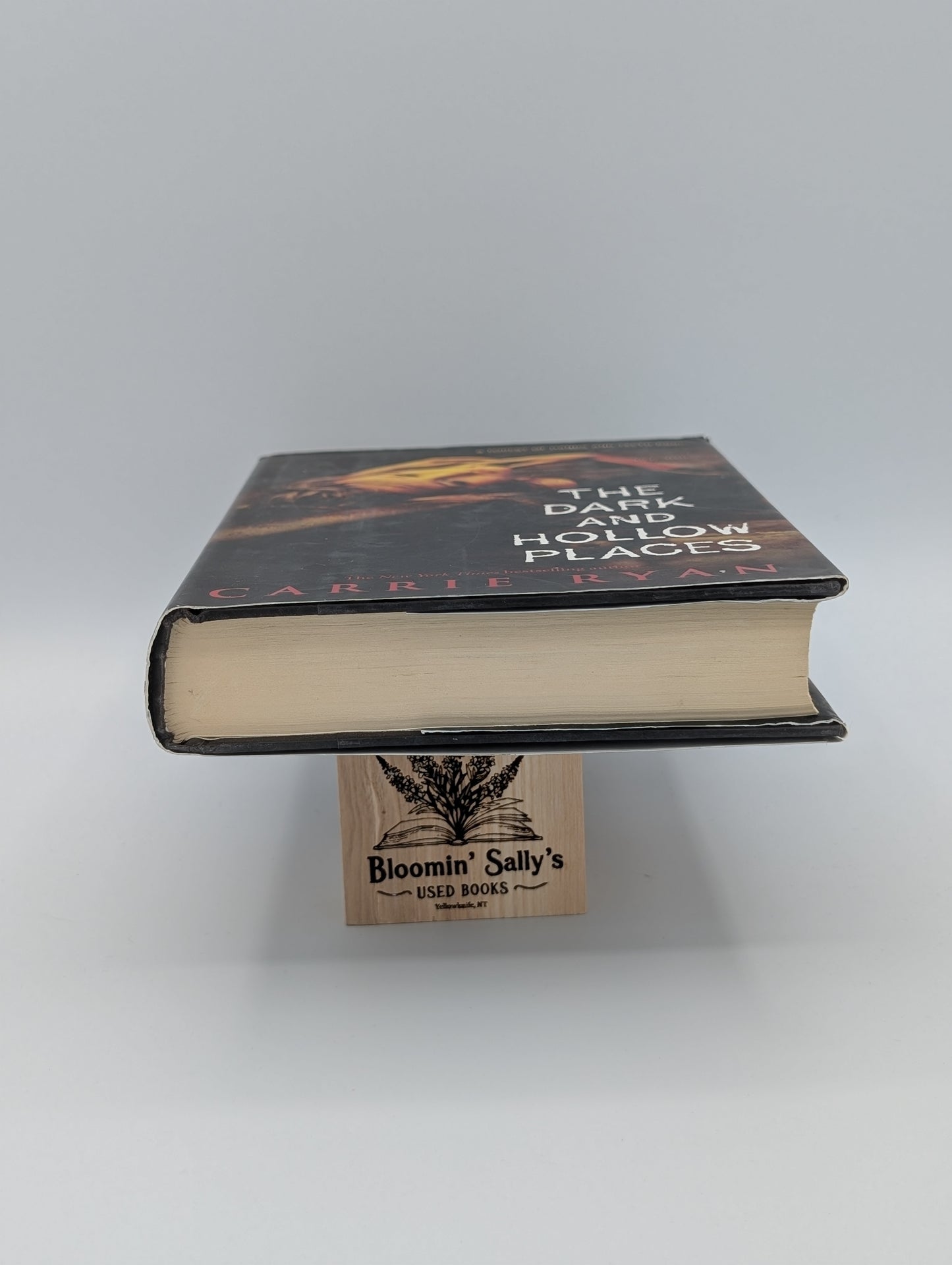 Les lieux sombres et creux (La forêt des mains et des dents, livre 3 - Le bien)