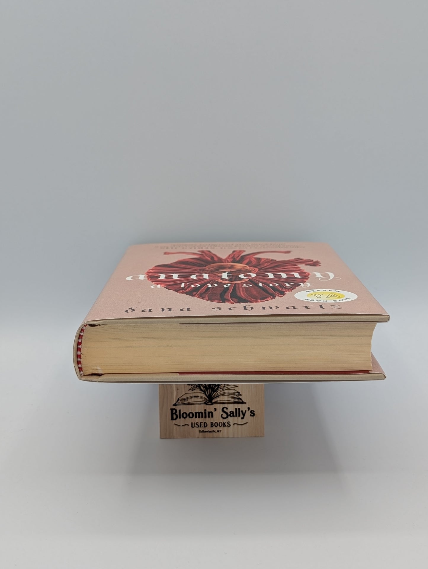 Anatomie : Une histoire d'amour (La duologie Anatomie, 1)