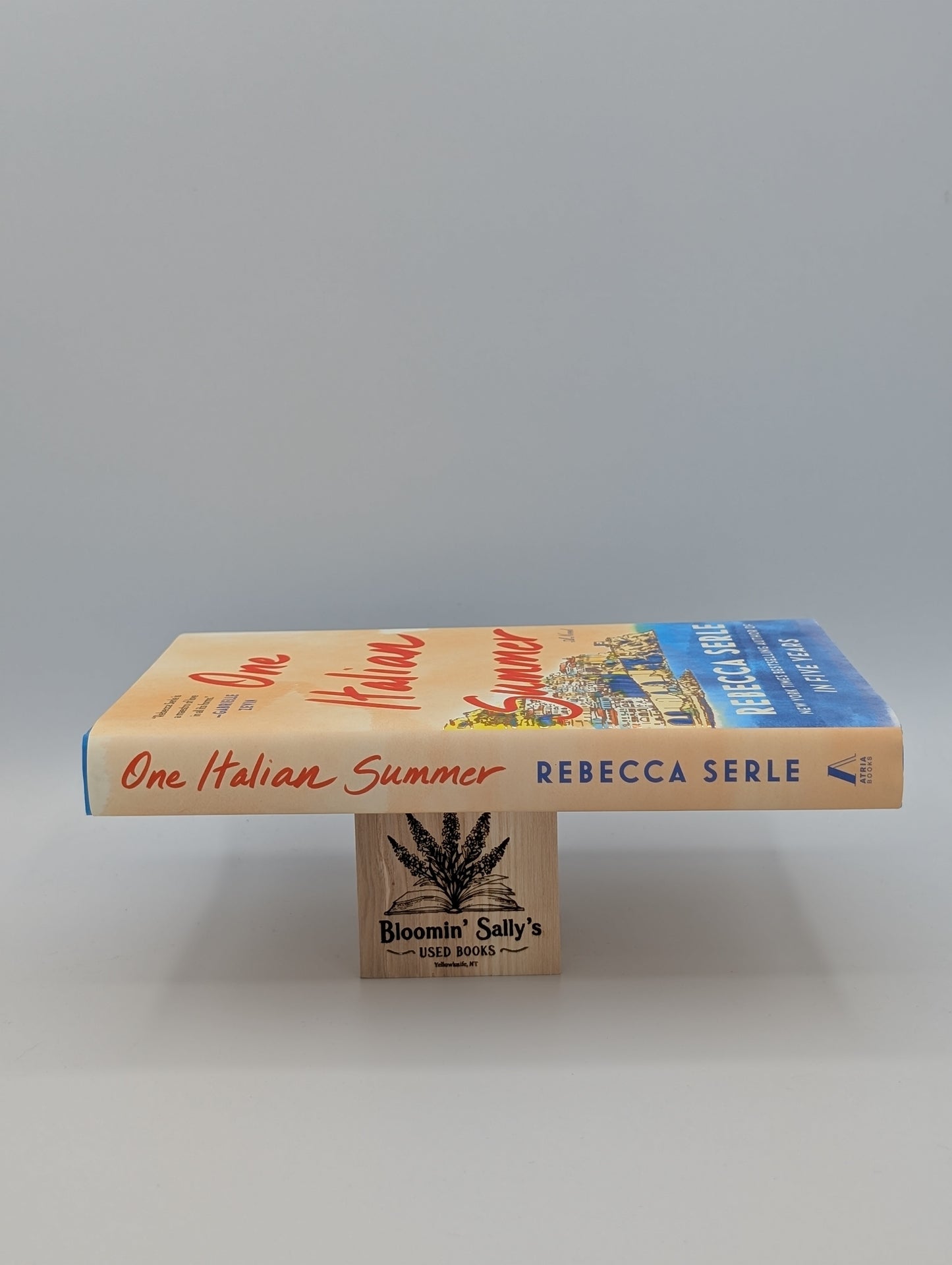 One Italian Summer: A Novel