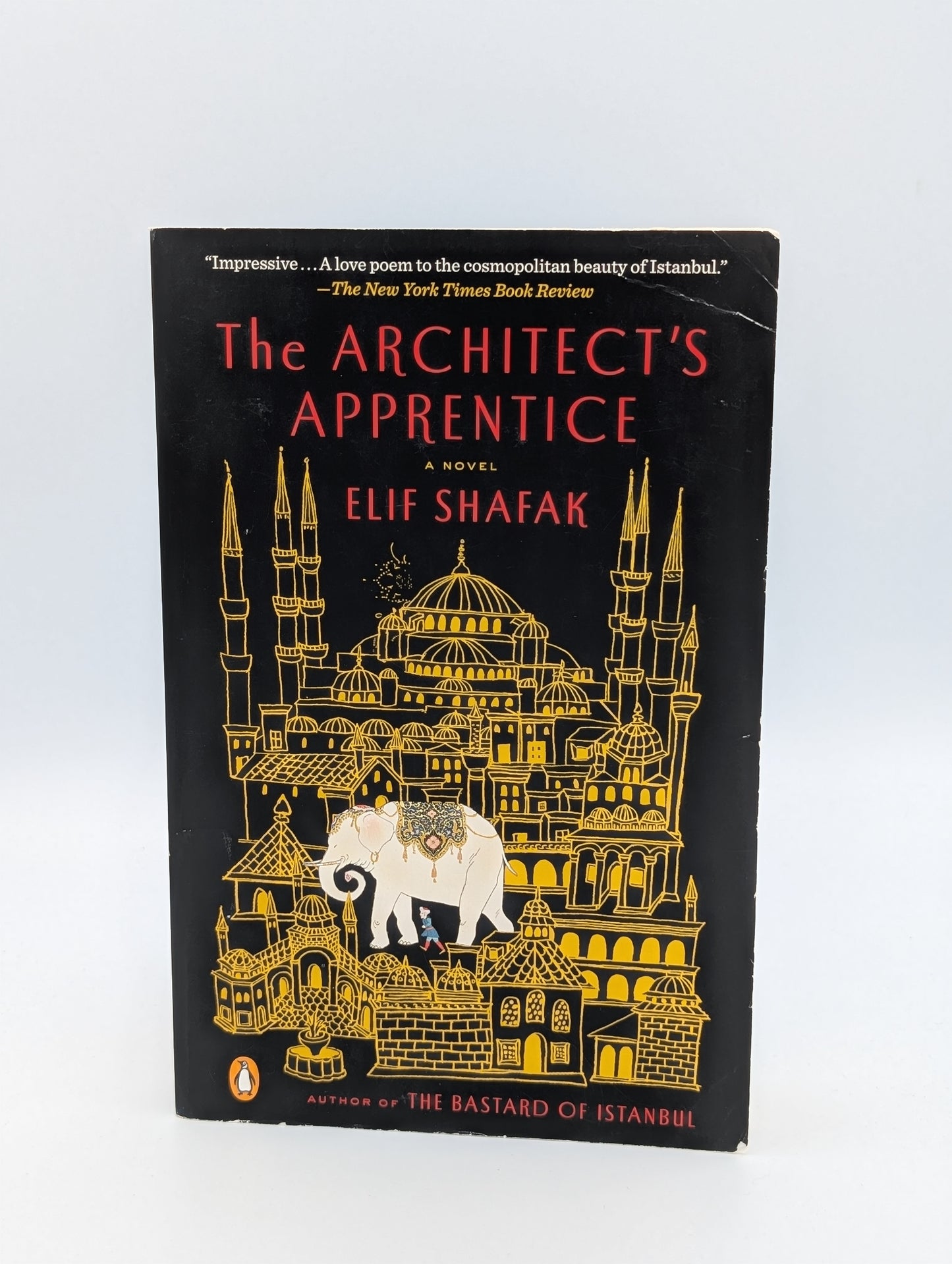 L'apprenti architecte : un roman