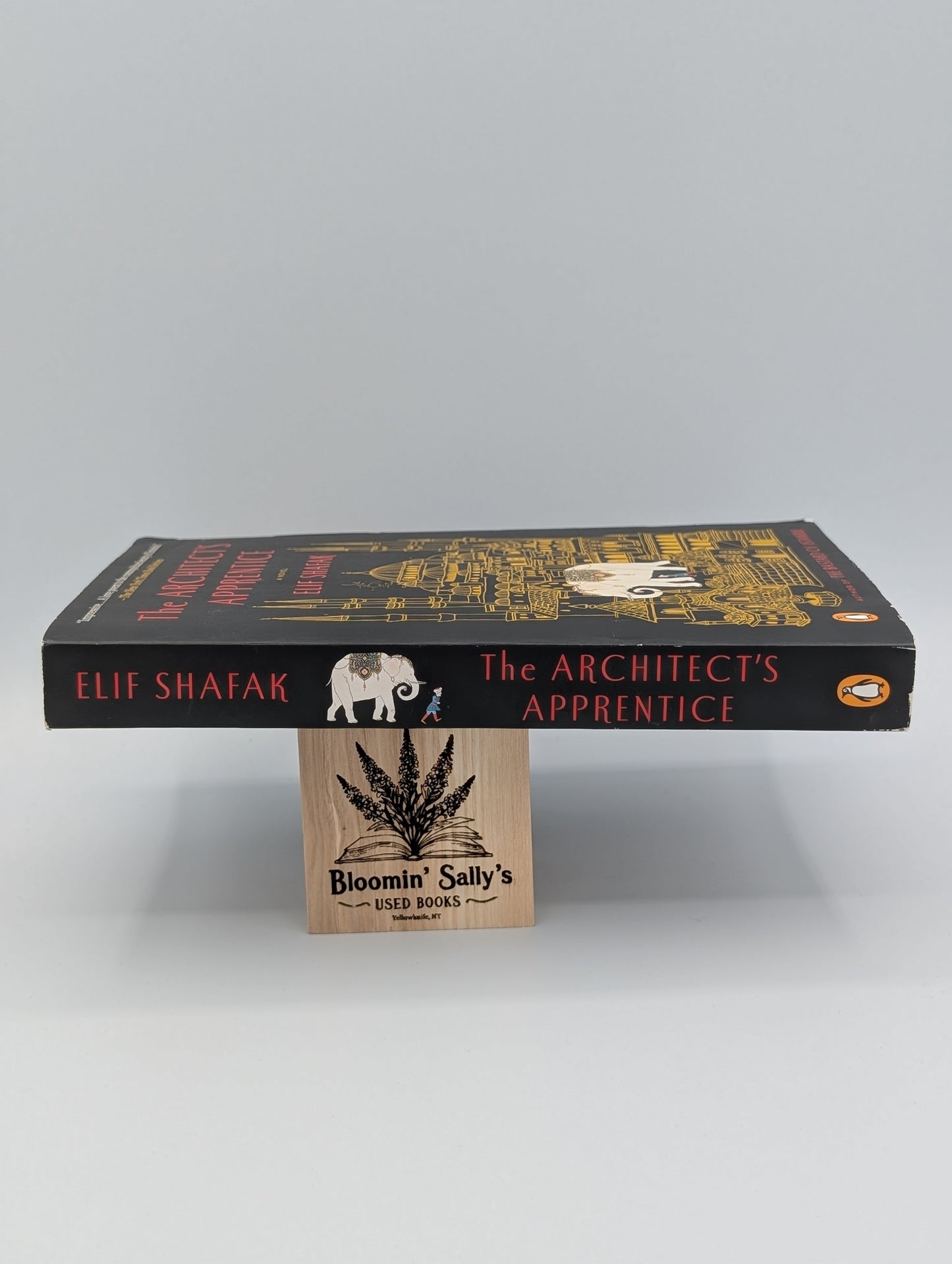 L'apprenti architecte : un roman