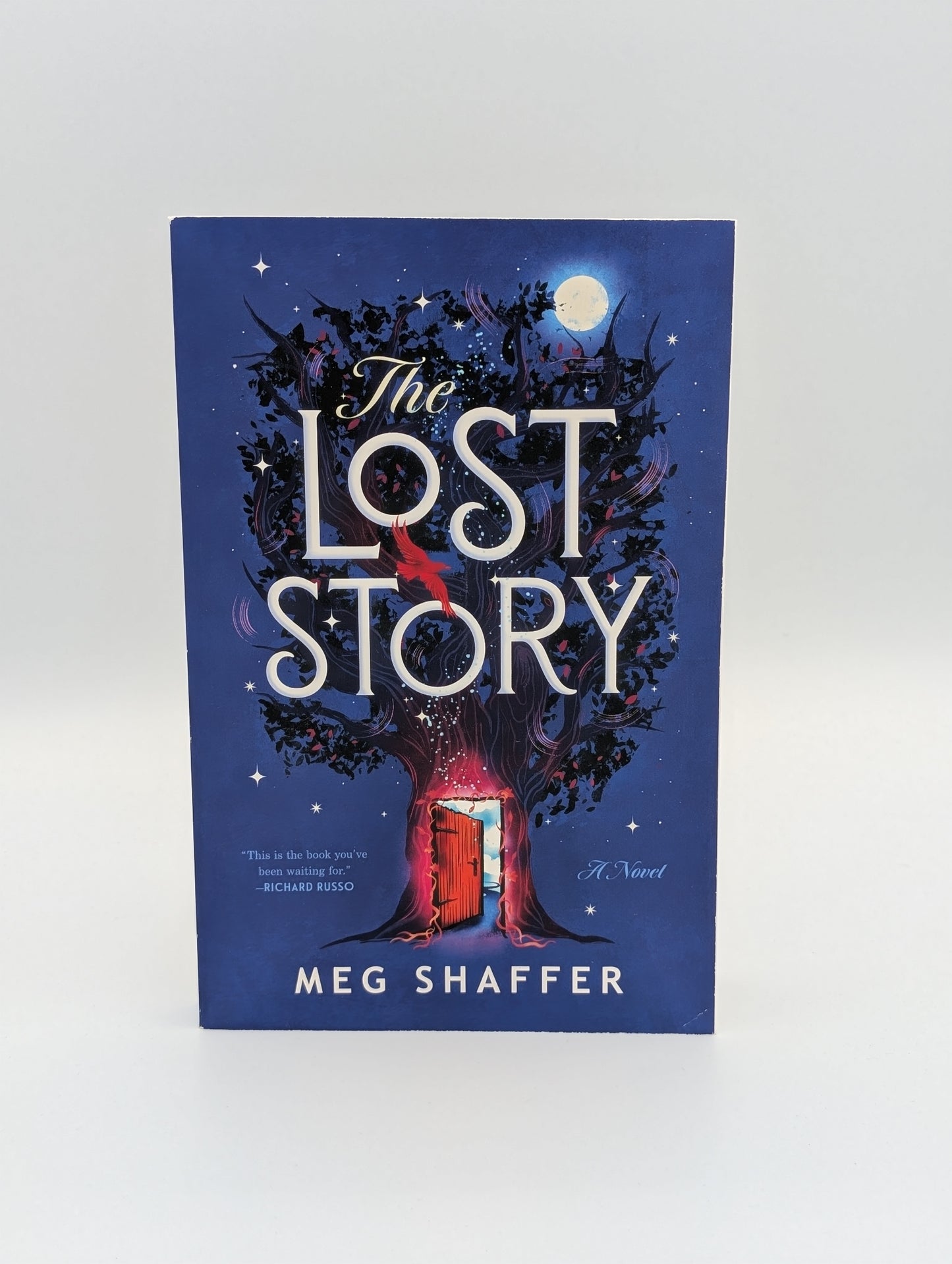 The Lost Story: A Novel