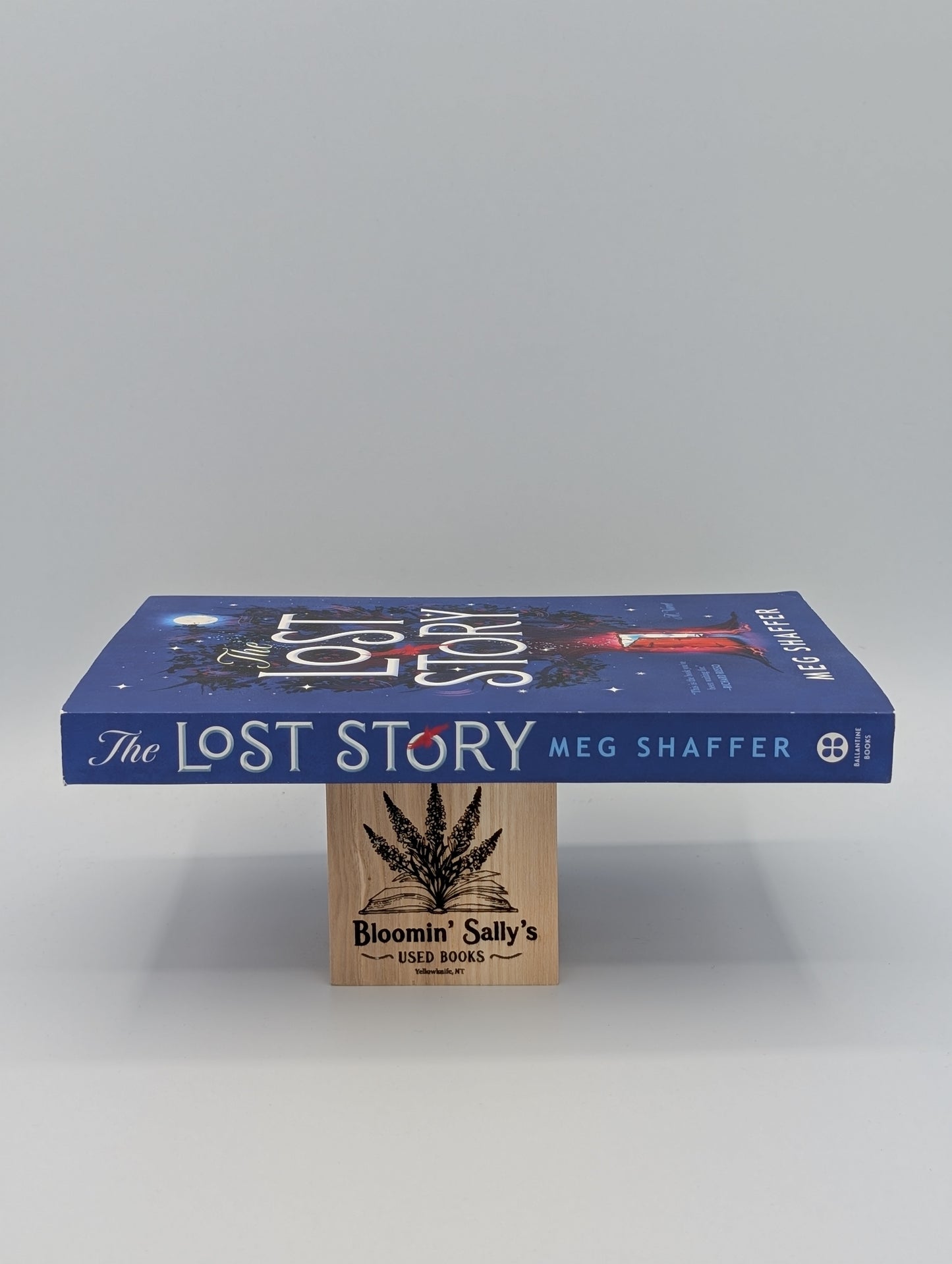 The Lost Story: A Novel