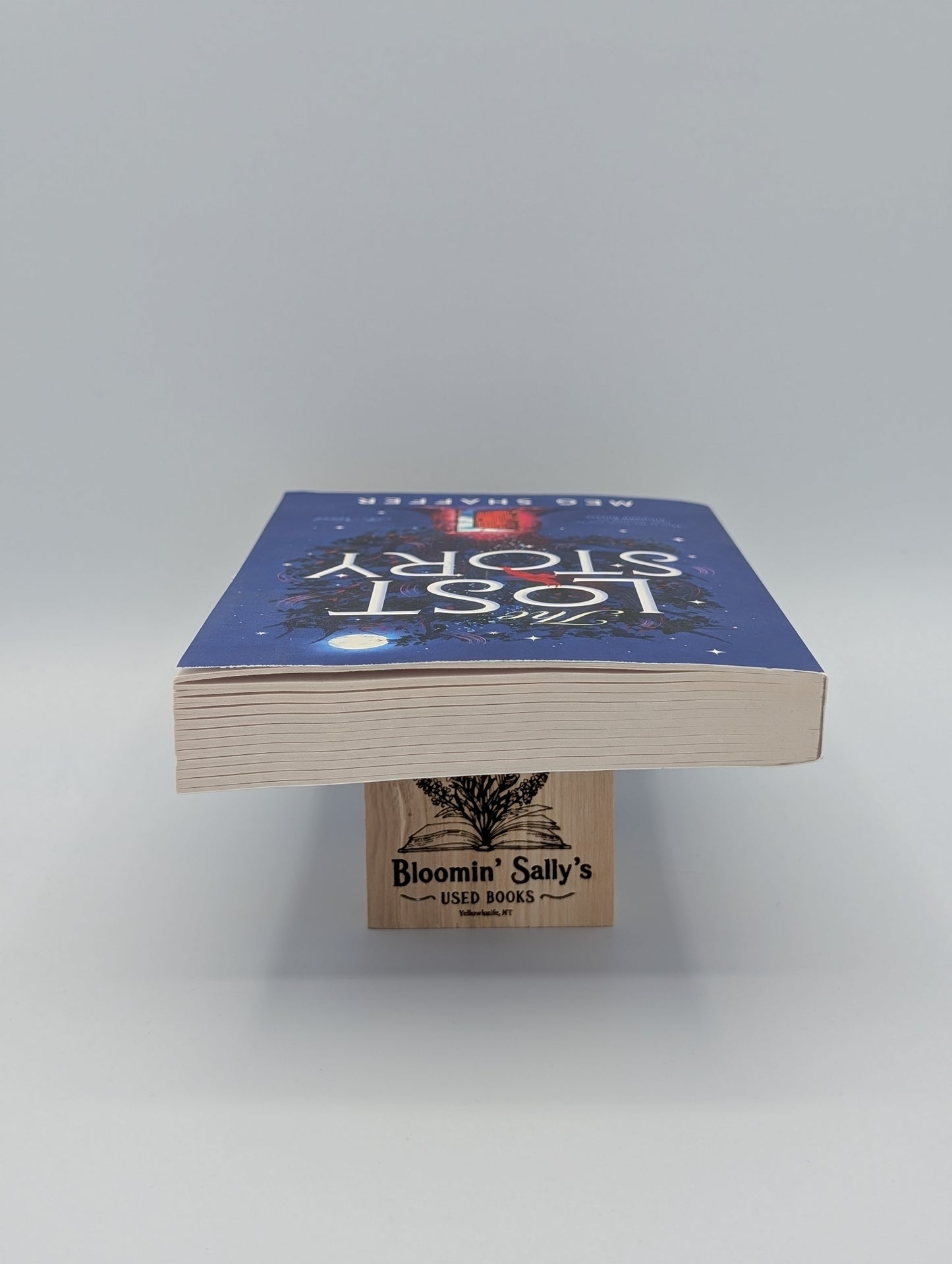 The Lost Story: A Novel
