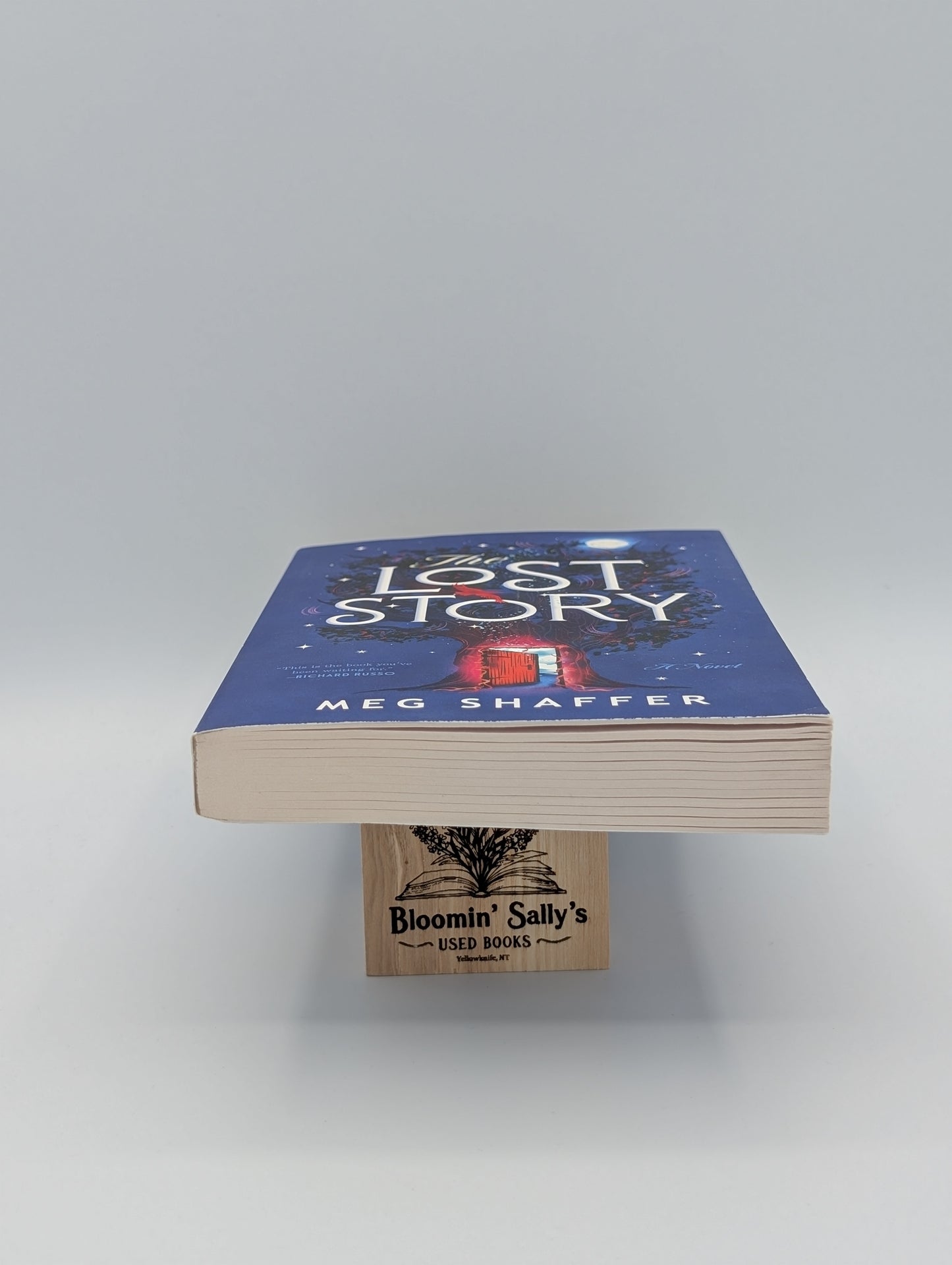 The Lost Story: A Novel