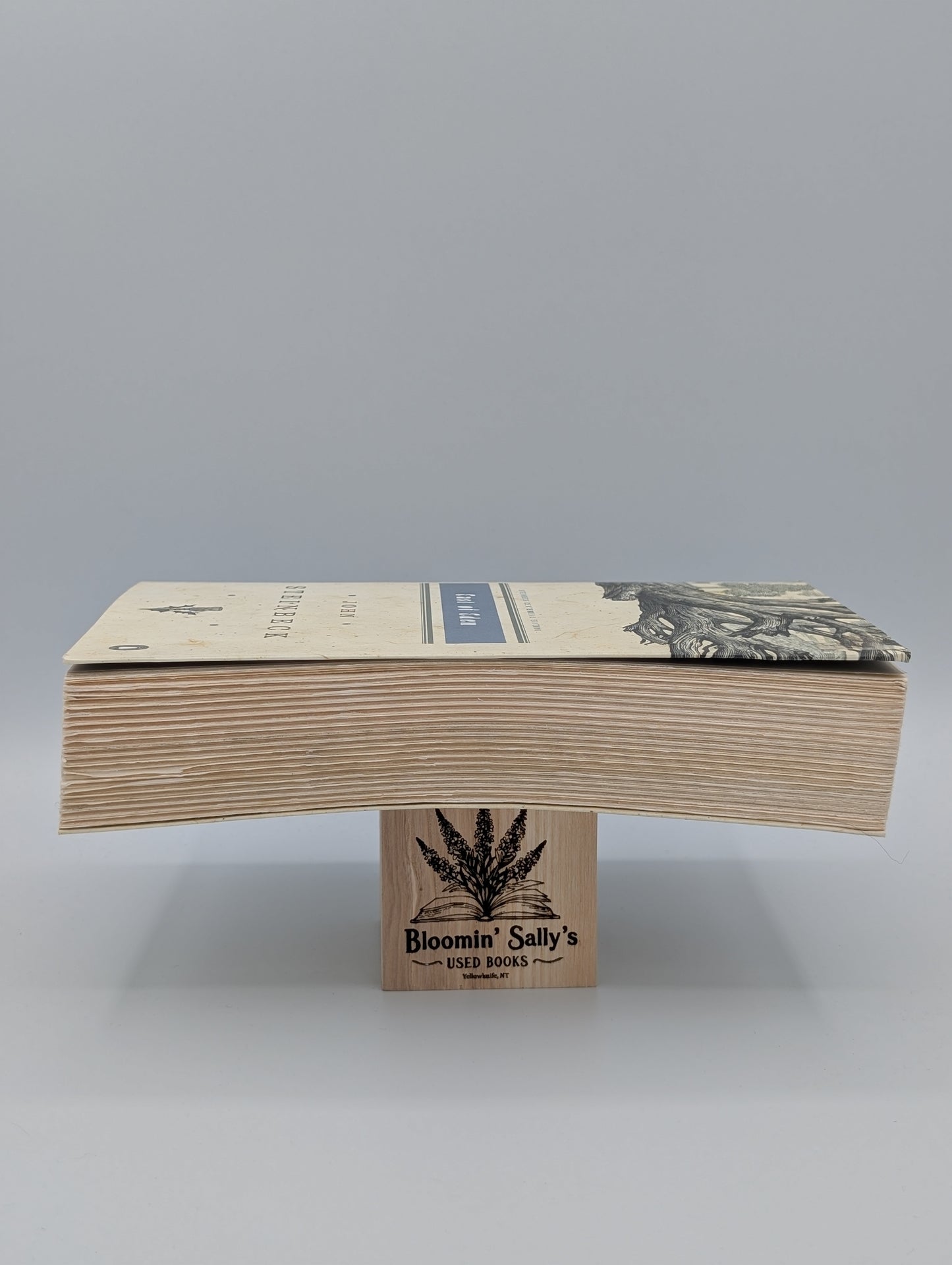 East of Eden, John Steinbeck Centennial Edition