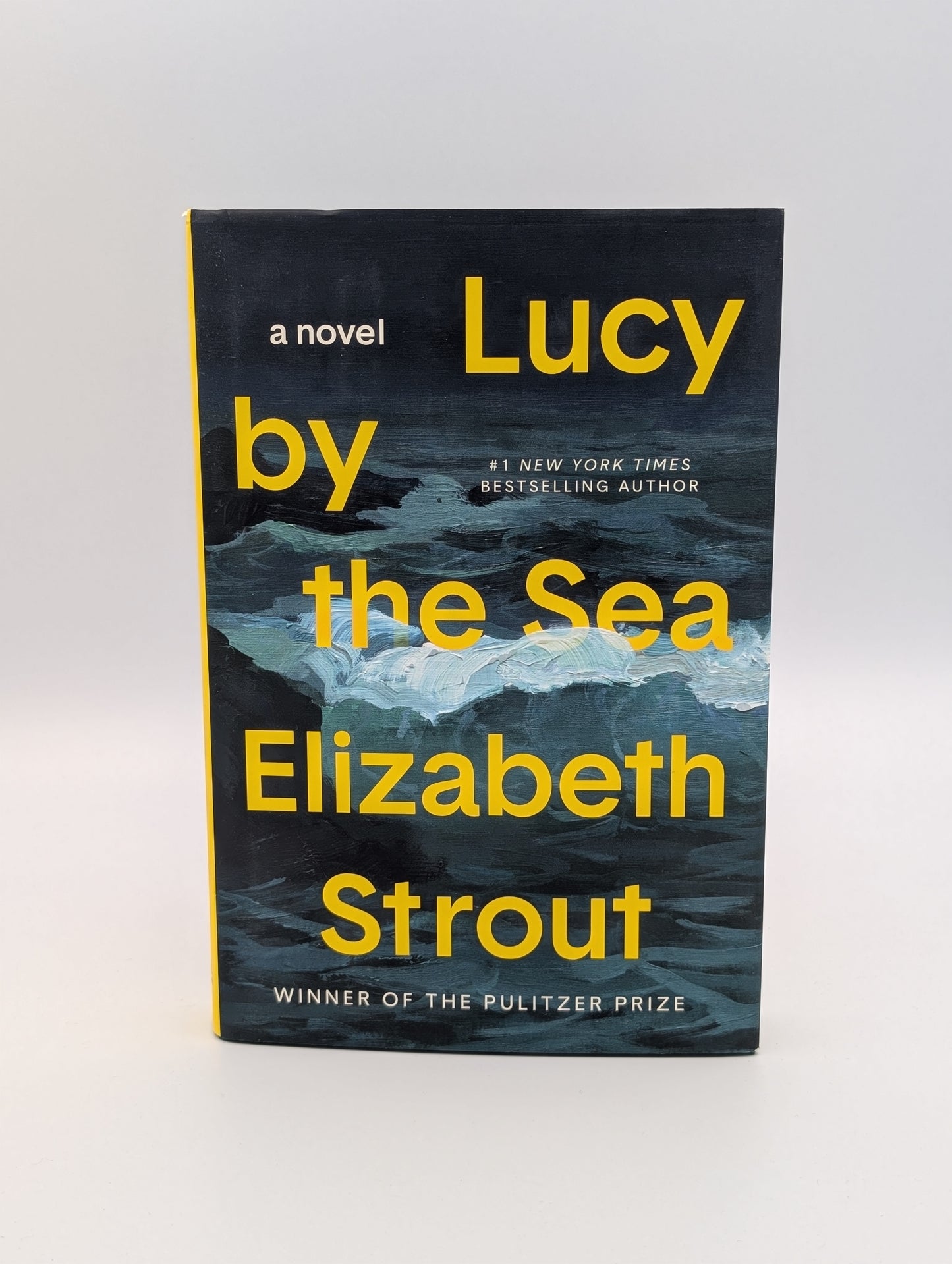 Lucy by the Sea : Un roman