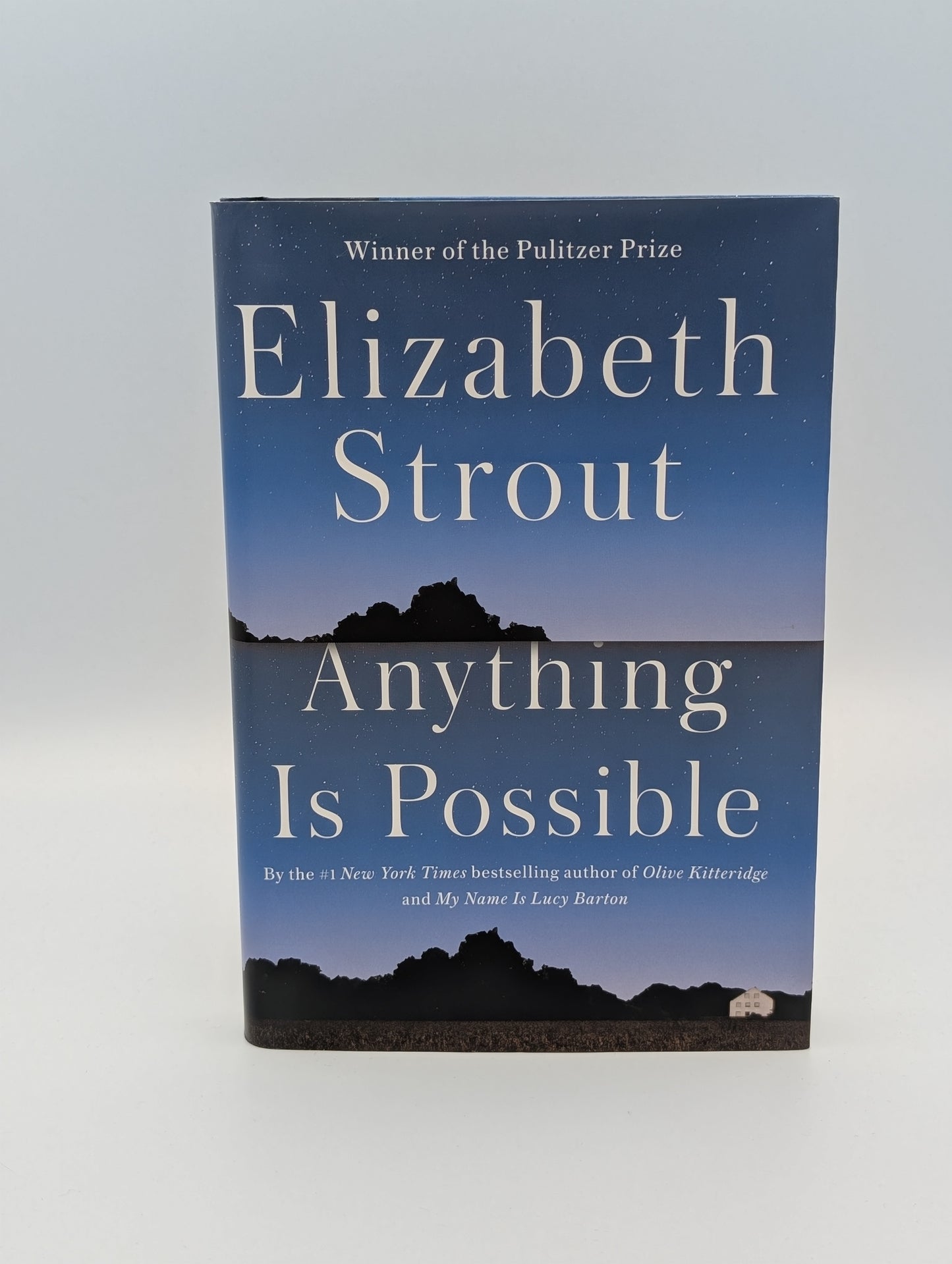 Tout est possible : un roman