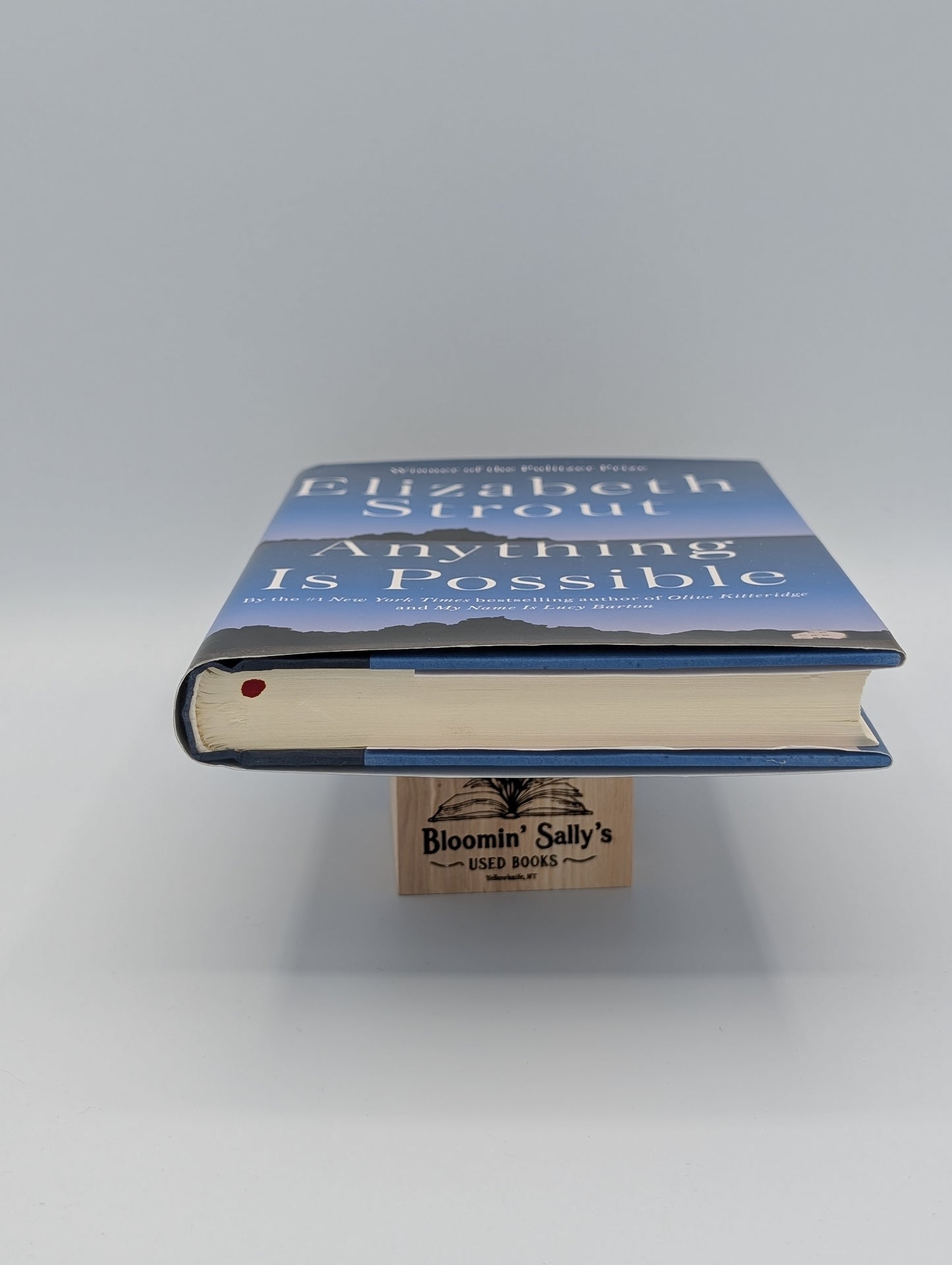 Tout est possible : un roman