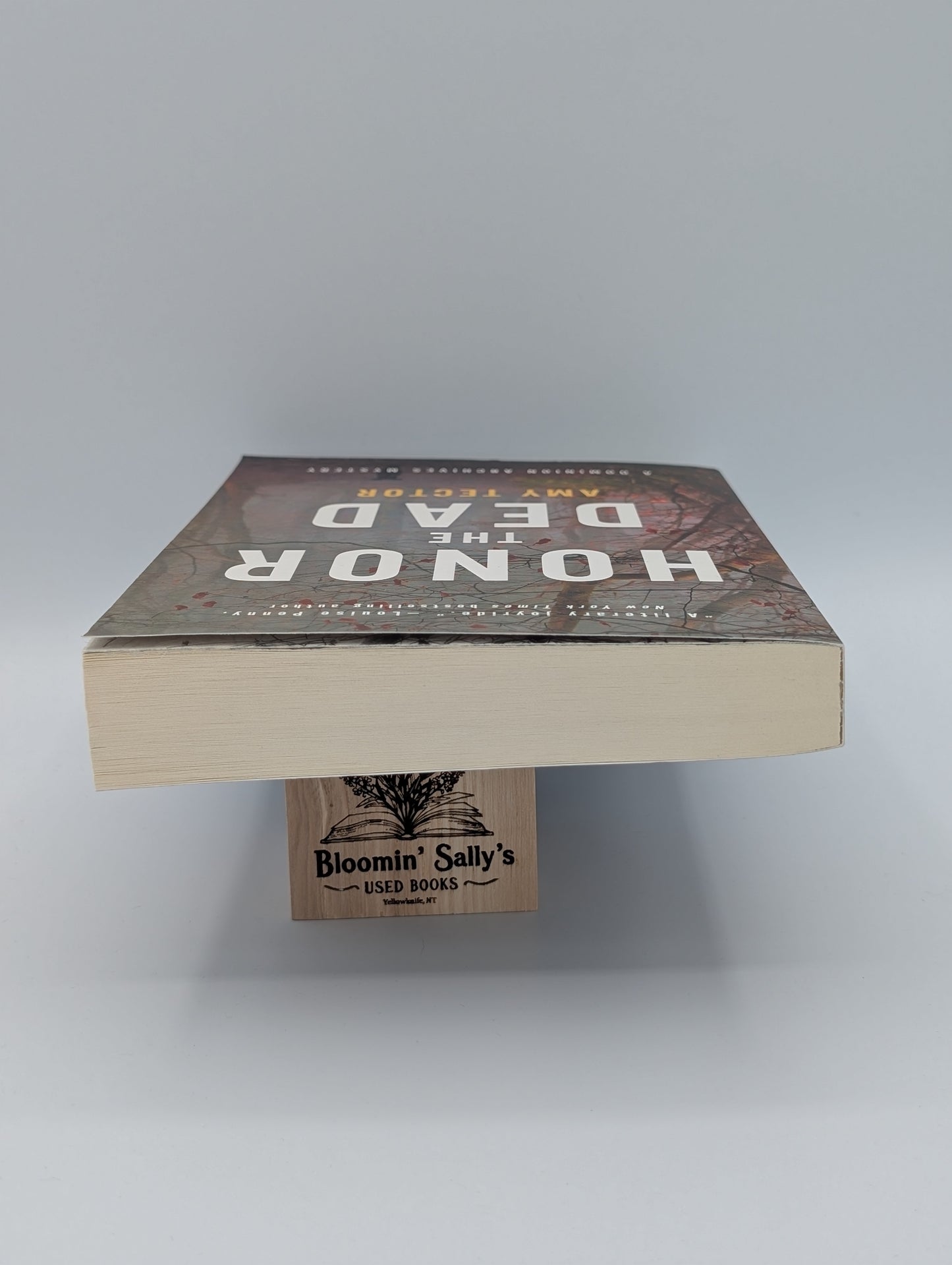 Honor the Dead (The Dominion Archives Mysteries, 3)