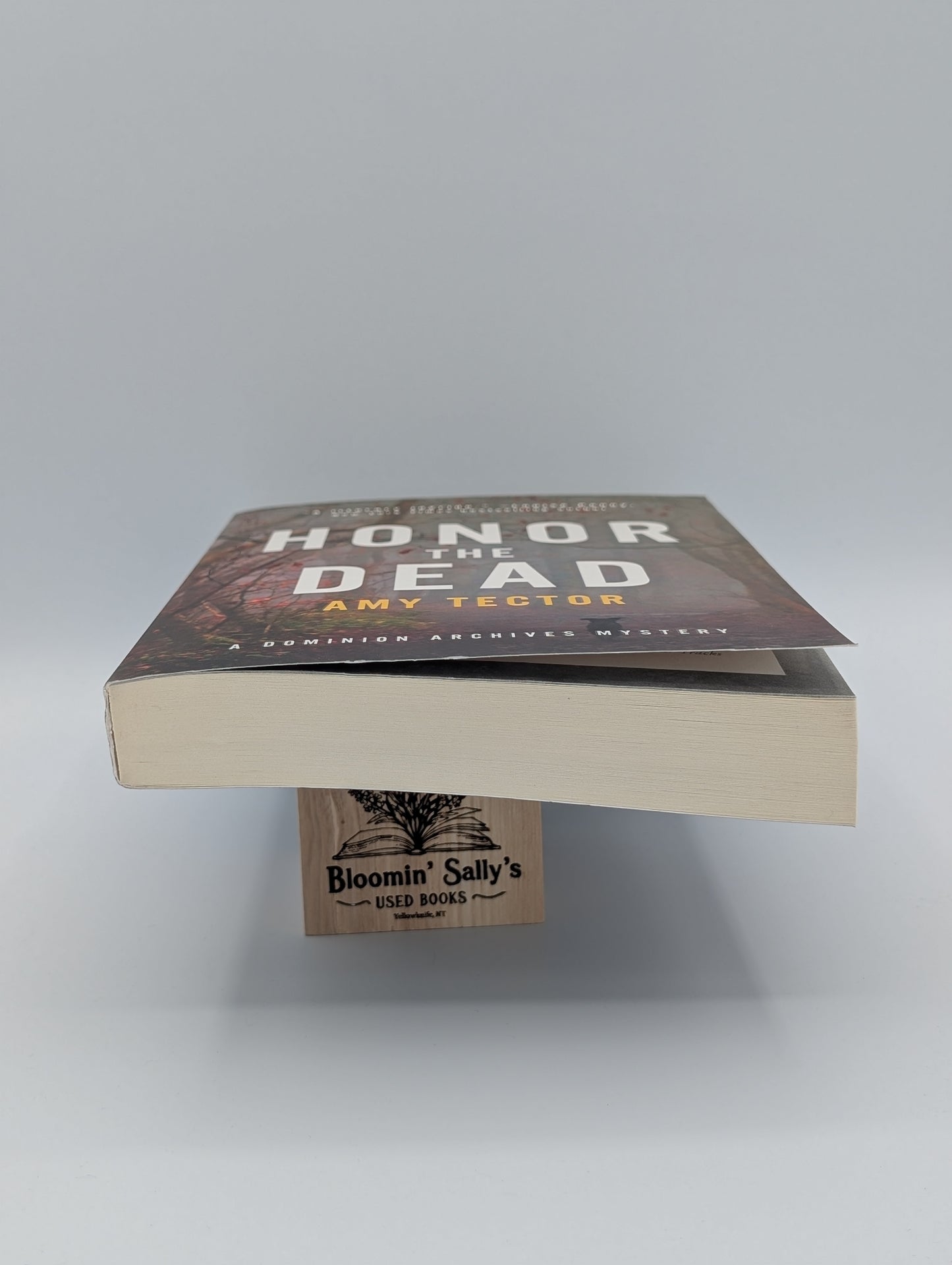 Honor the Dead (The Dominion Archives Mysteries, 3)