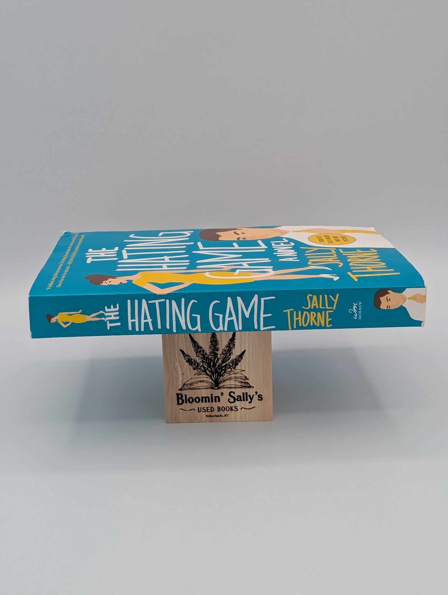 Le jeu de la haine : un roman