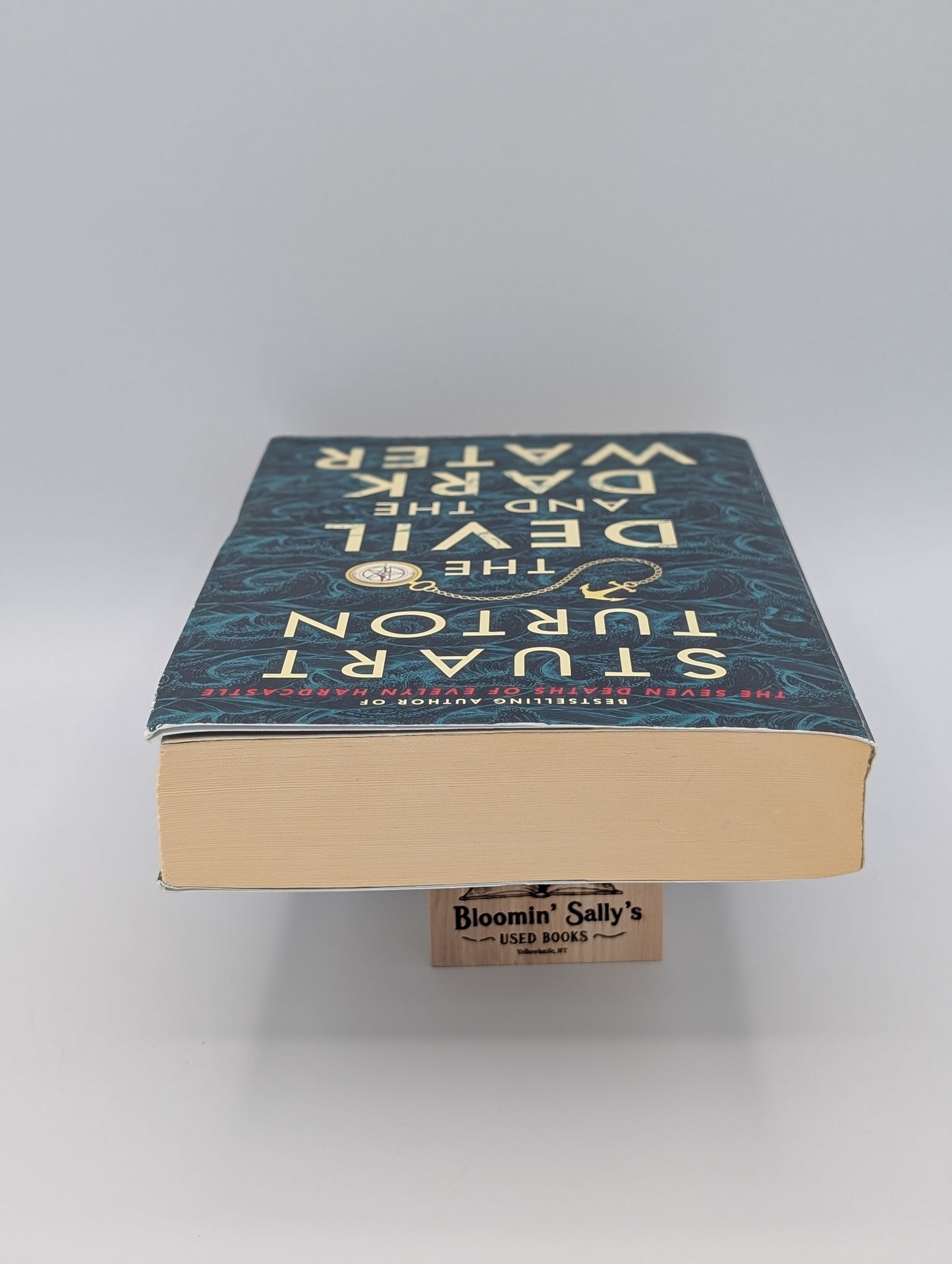 The Devil and the Dark Water: A Novel