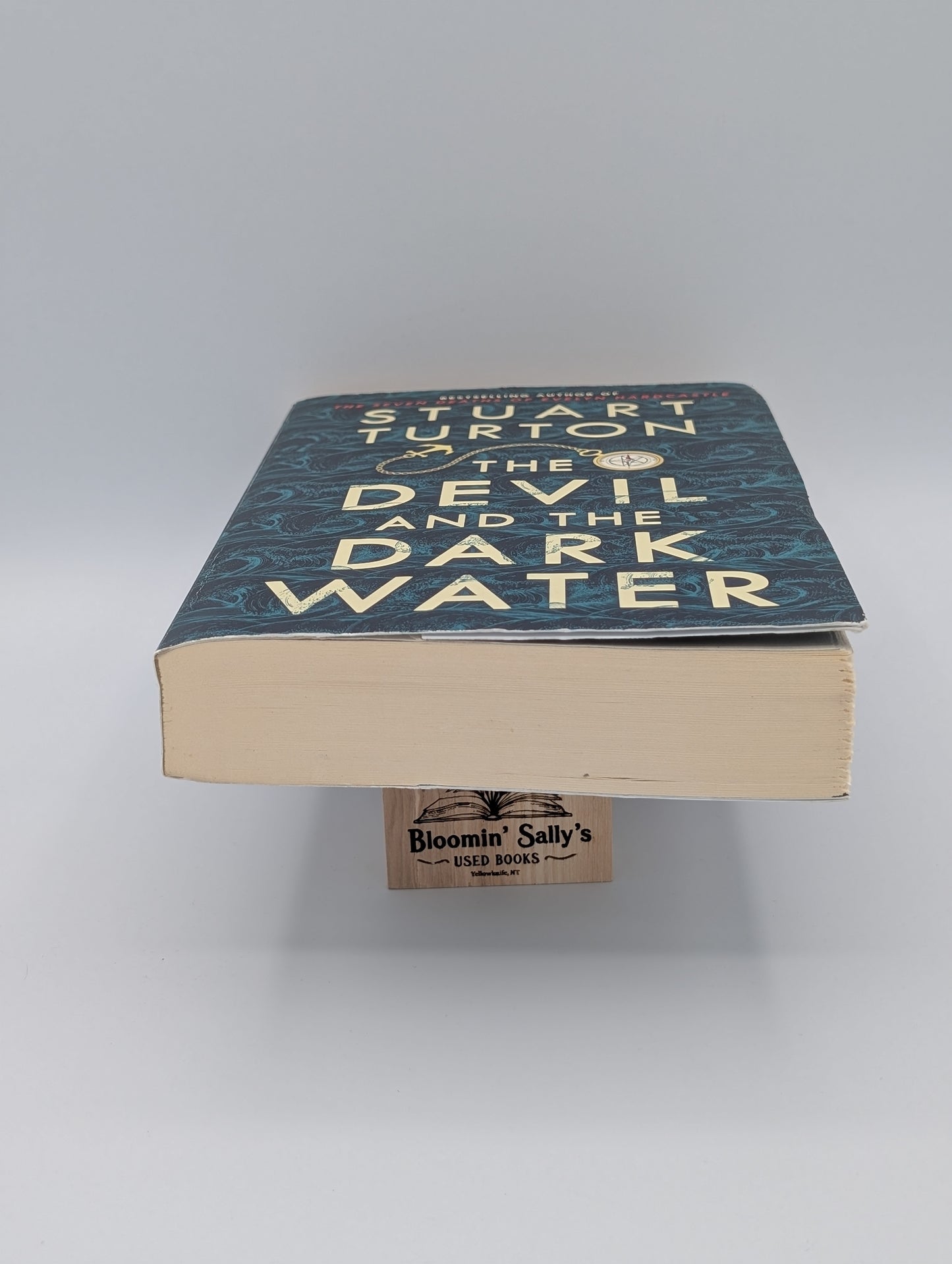 The Devil and the Dark Water: A Novel