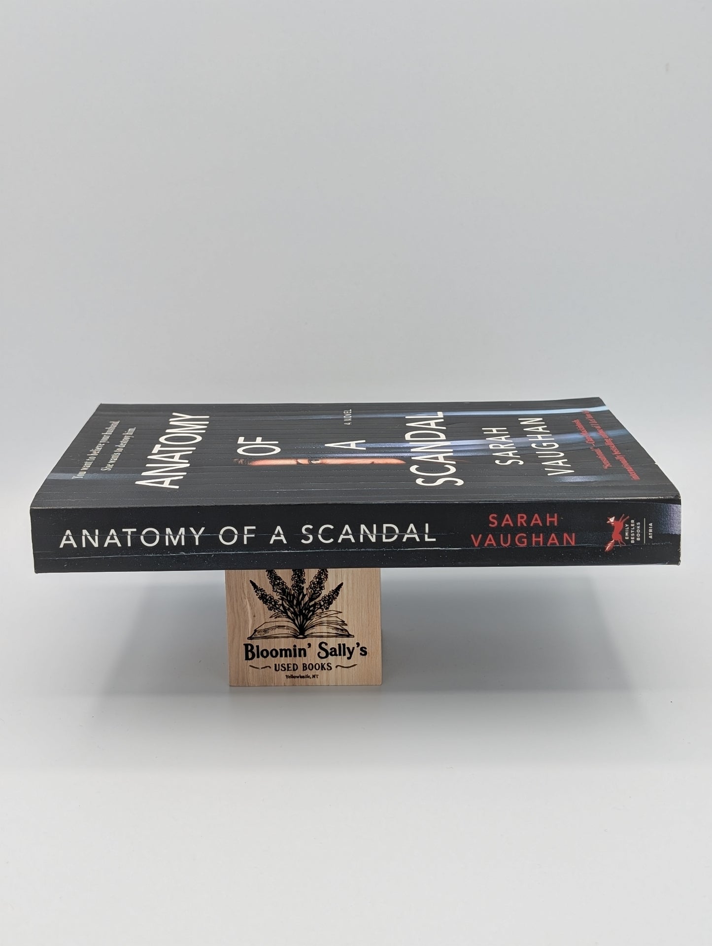 Anatomy of a Scandal