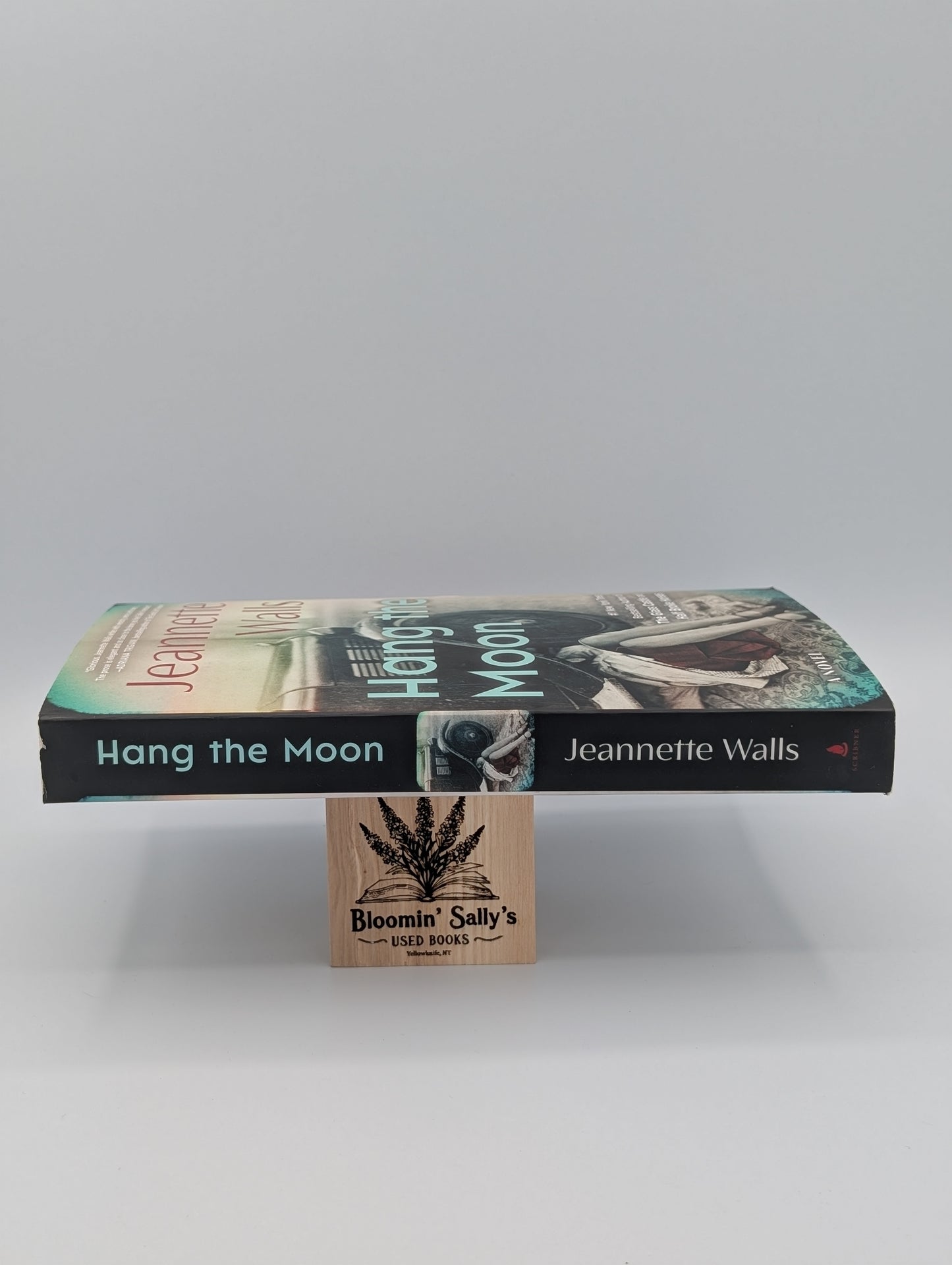 Accrocher la lune : un roman