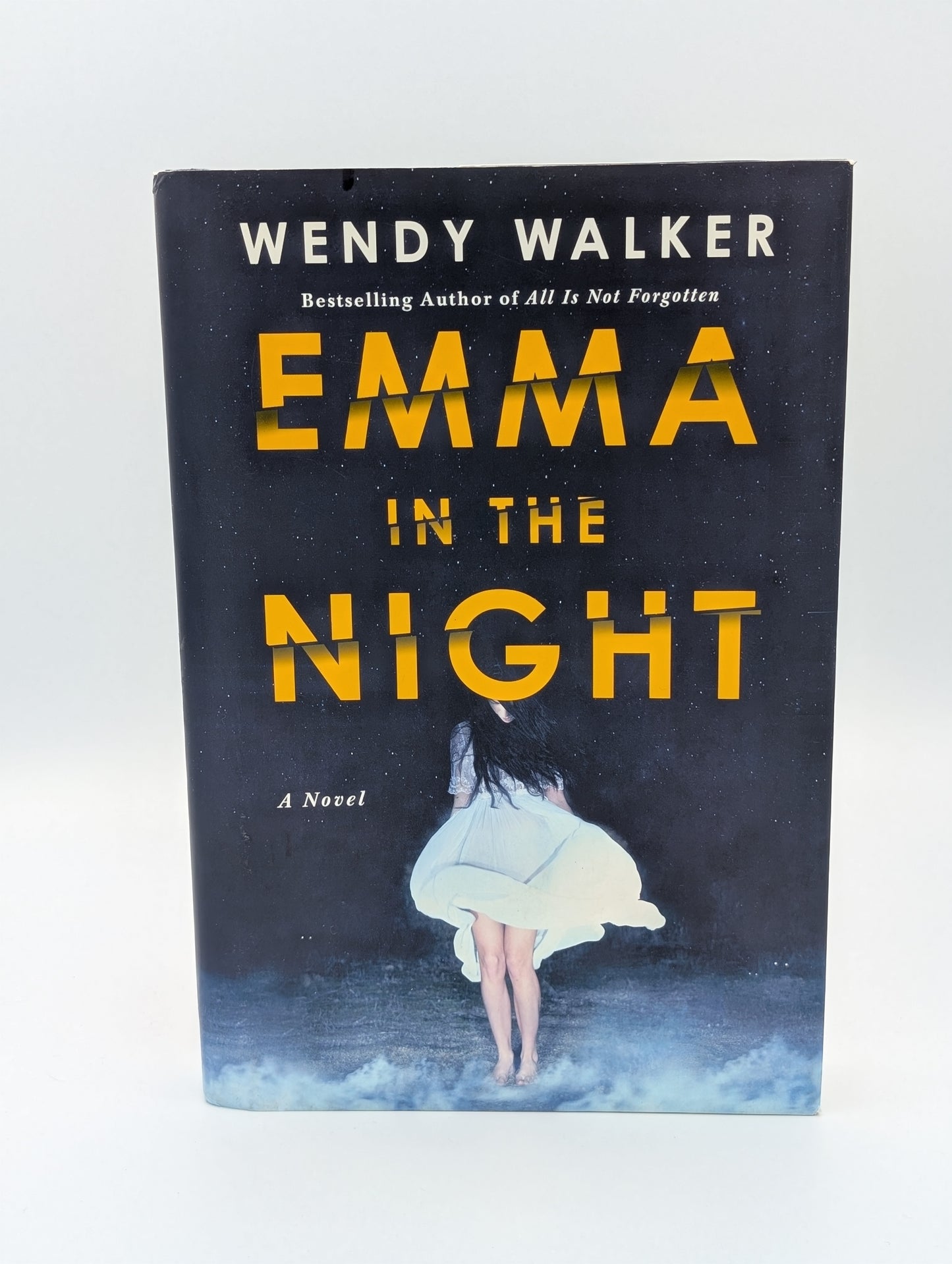 Emma in the Night: A Novel