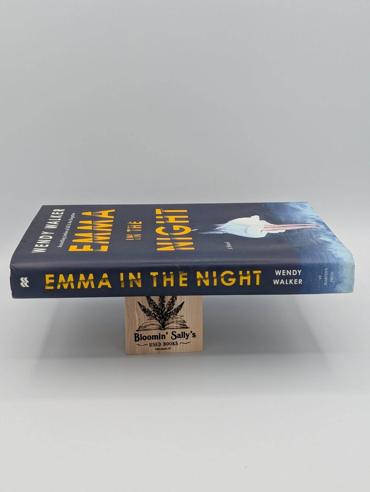 Emma in the Night: A Novel