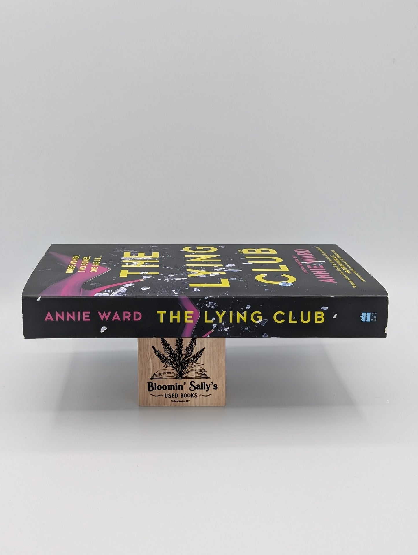 The Lying Club: A Novel