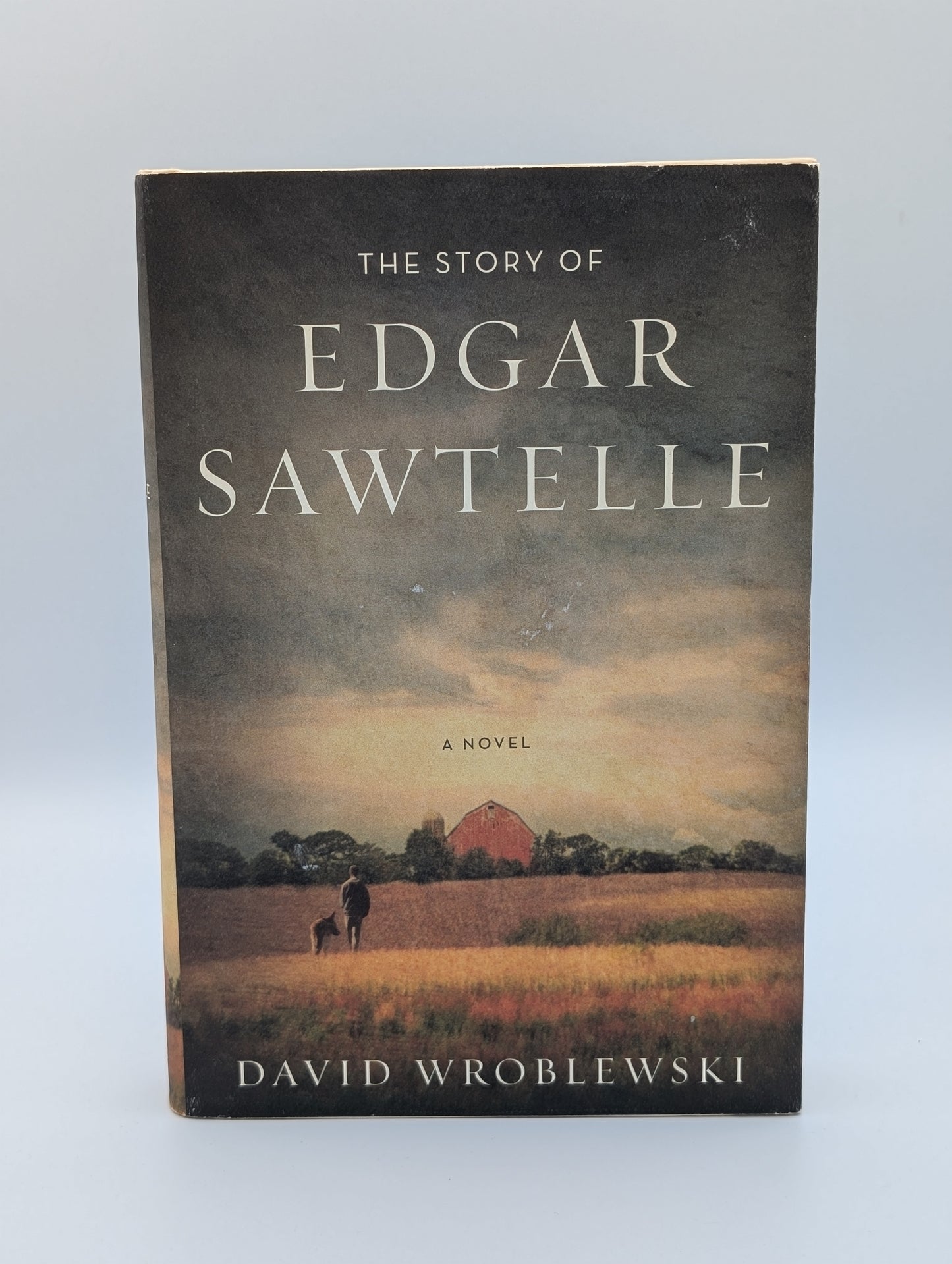 L'histoire d'Edgar Sawtelle