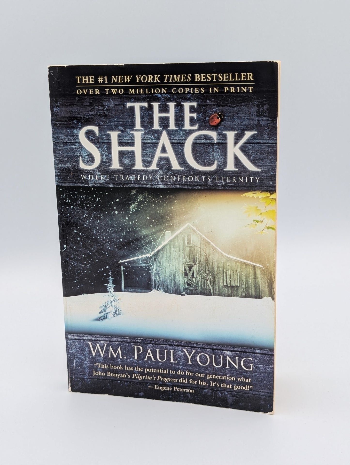 The Shack: Where Tragedy Confronts Eternity