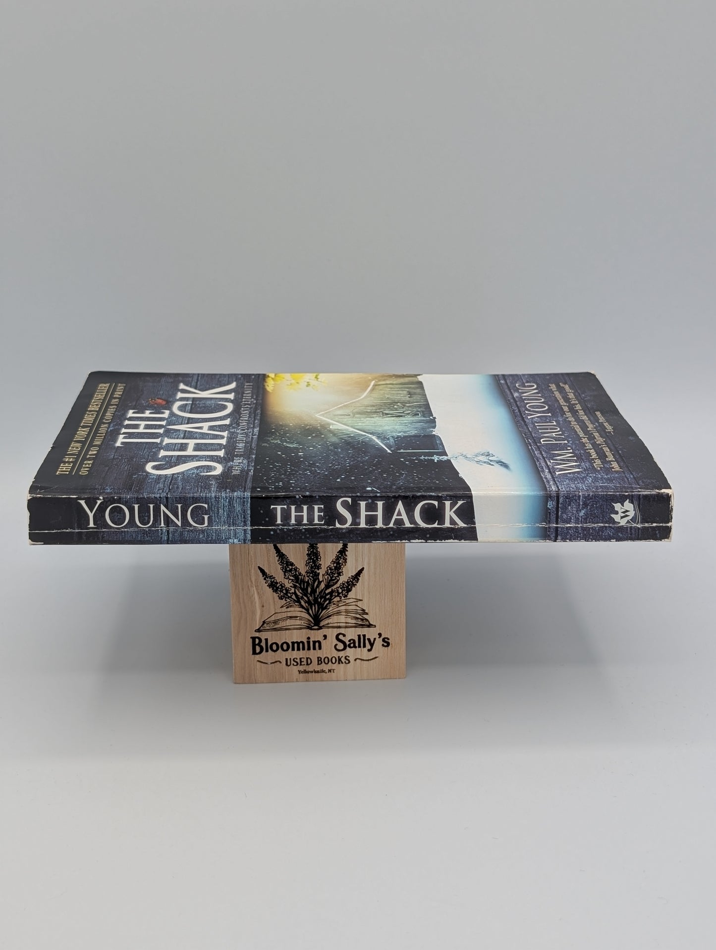 The Shack: Where Tragedy Confronts Eternity