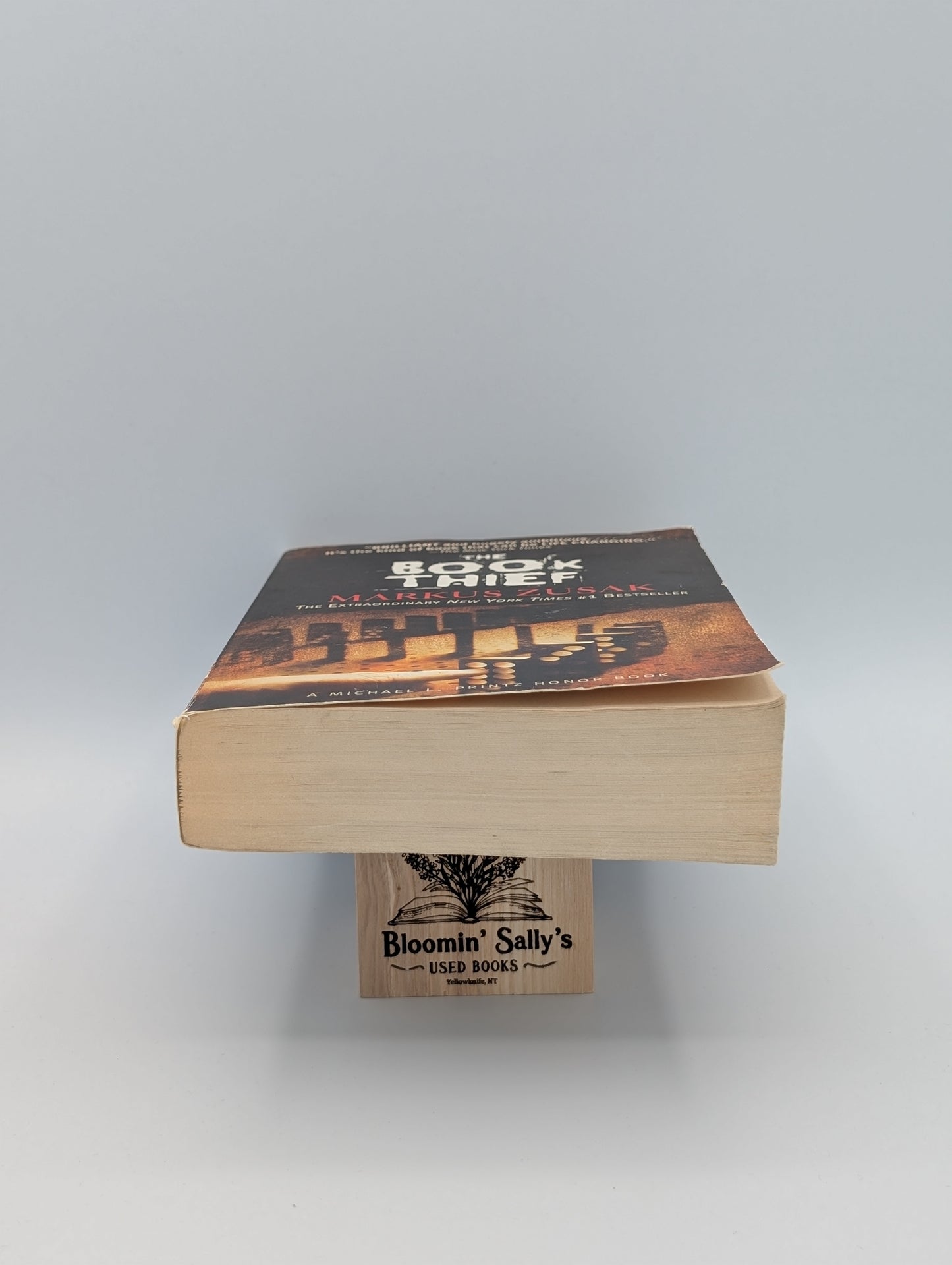 La voleuse de livres (Bien)