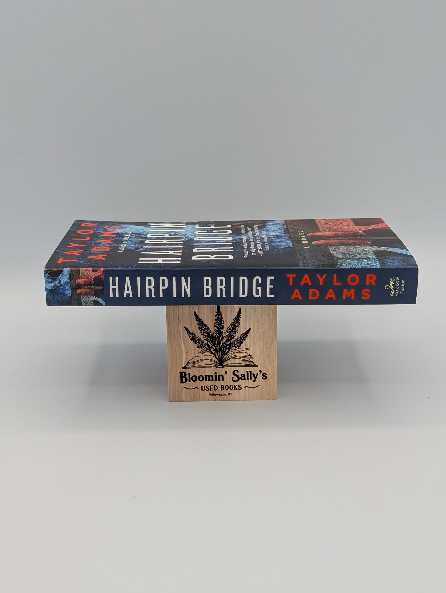 Le pont en épingle à cheveux : un roman