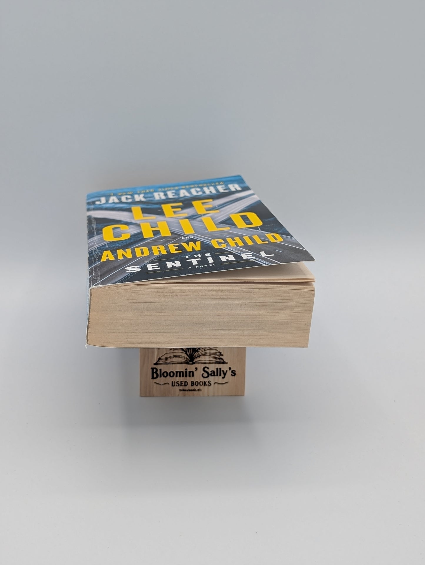 The Sentinel: A Jack Reacher Novel