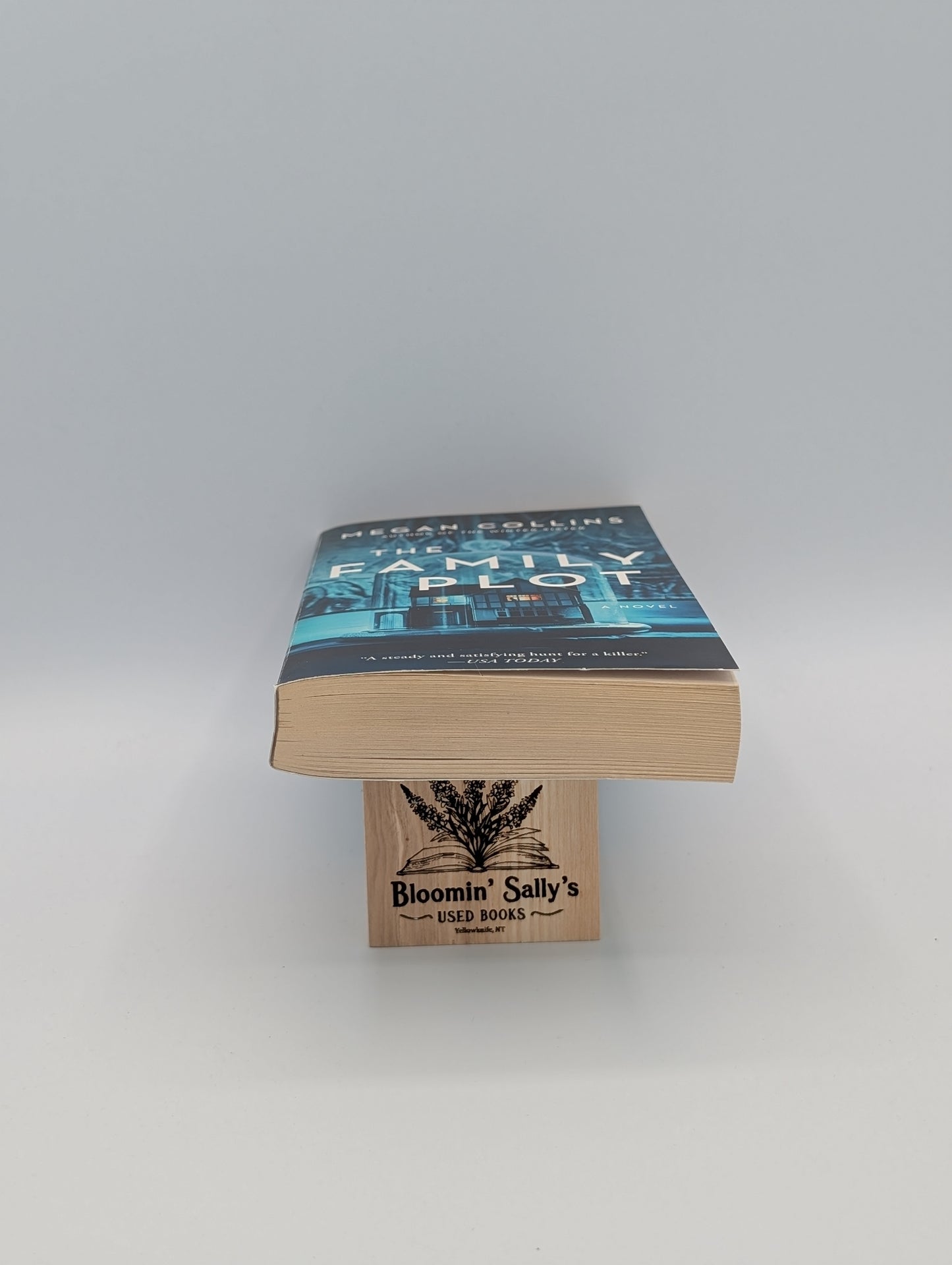 The Family Plot: A Novel