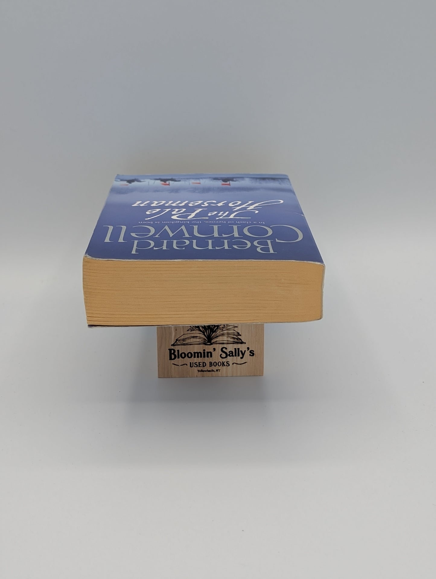 Le Cavalier pâle (La série des Chroniques saxonnes, tome 2)