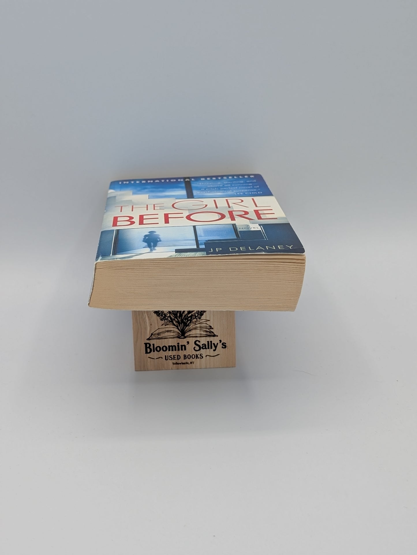 The Girl Before: A Novel