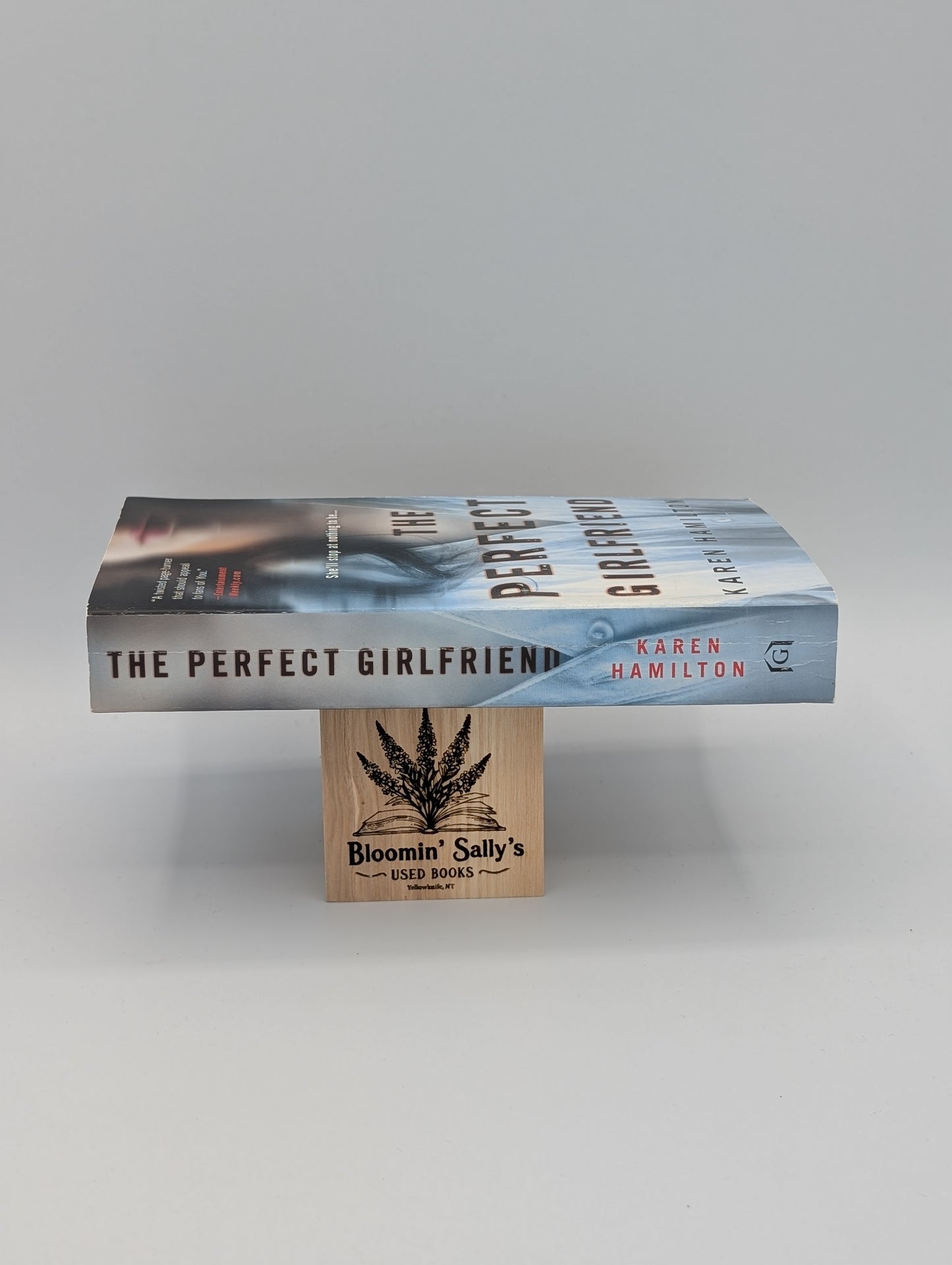 The Perfect Girlfriend: A Novel