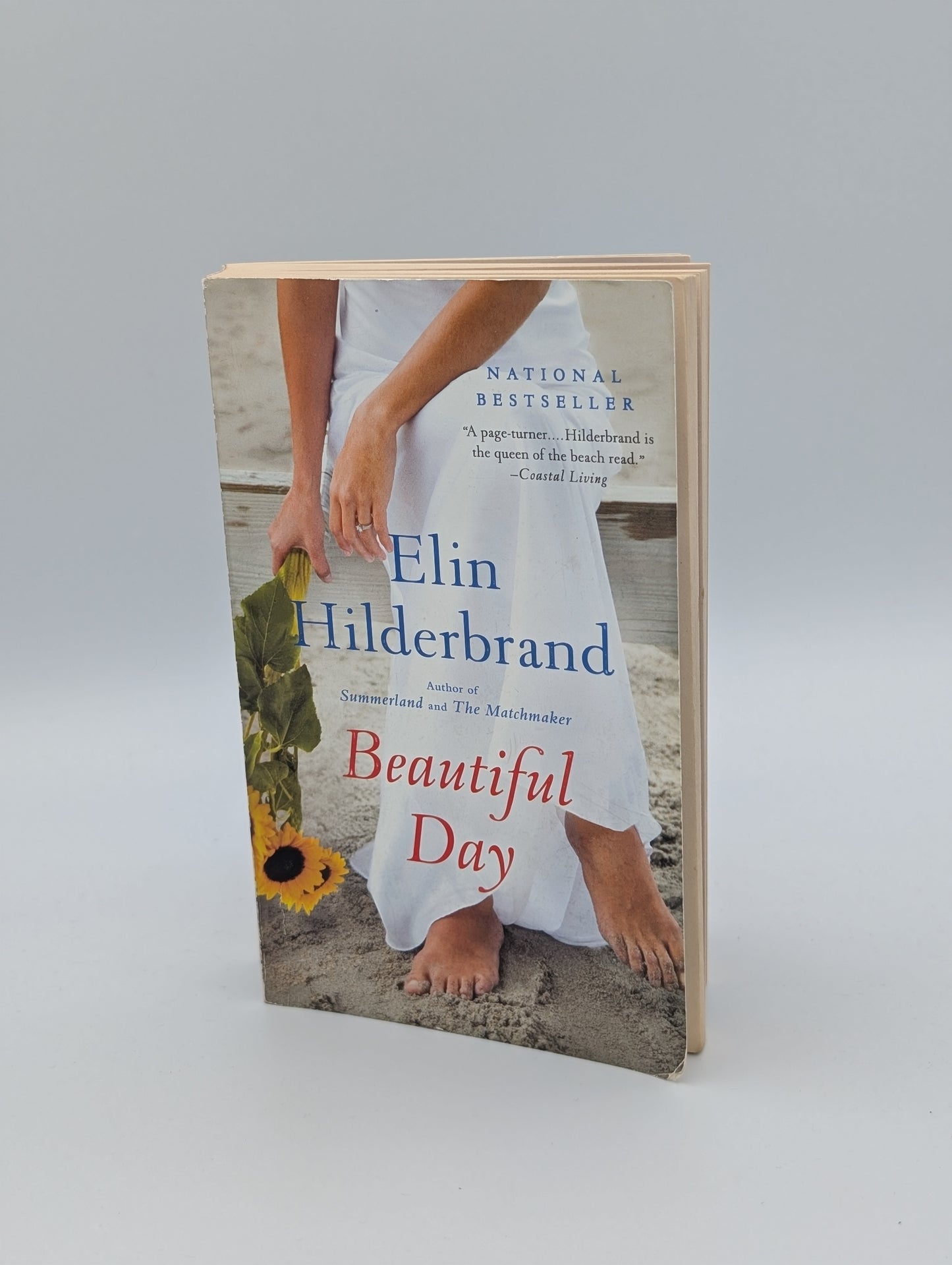 Beautiful Day: A Novel