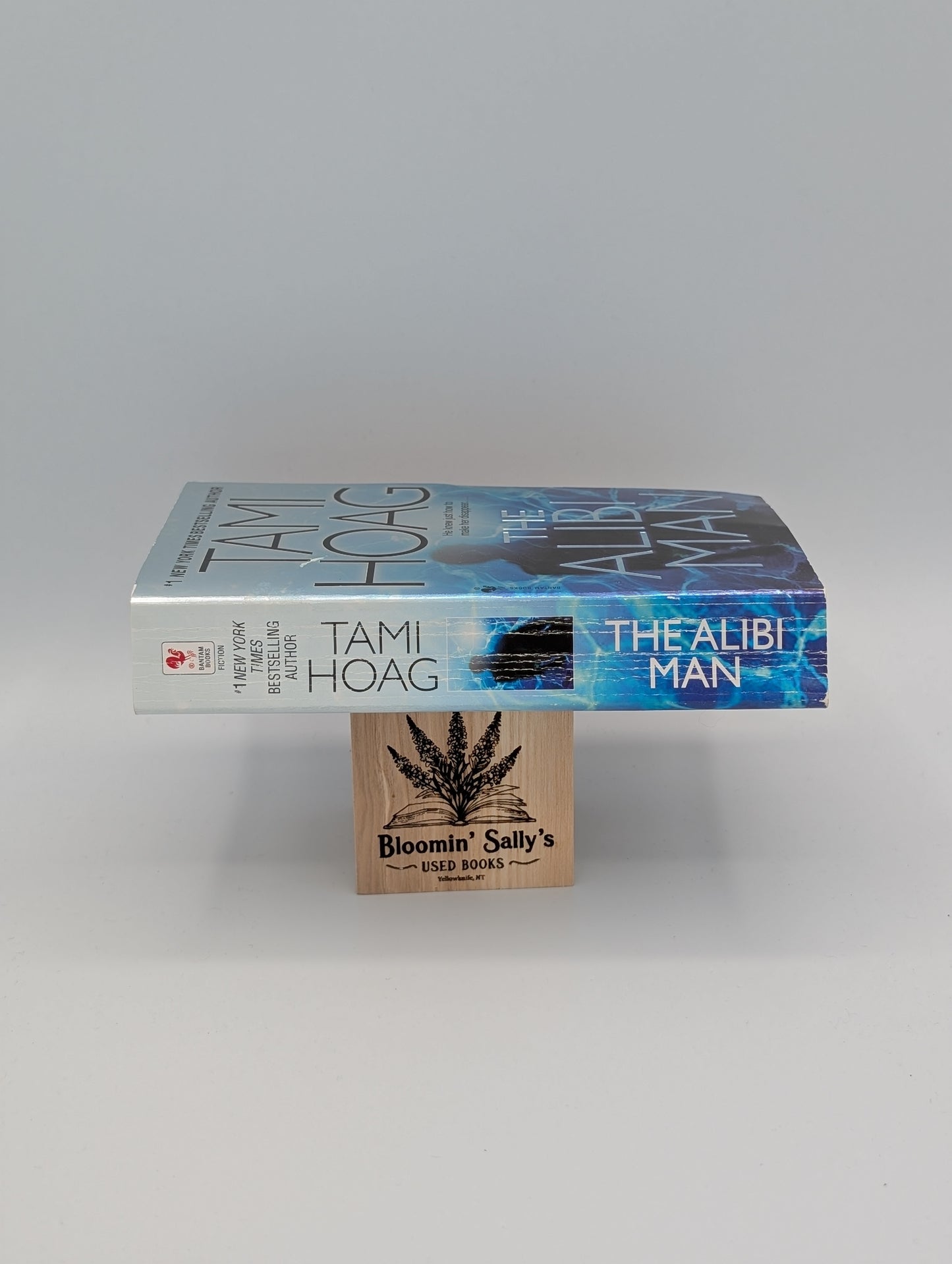 The Alibi Man (Elena Estes)