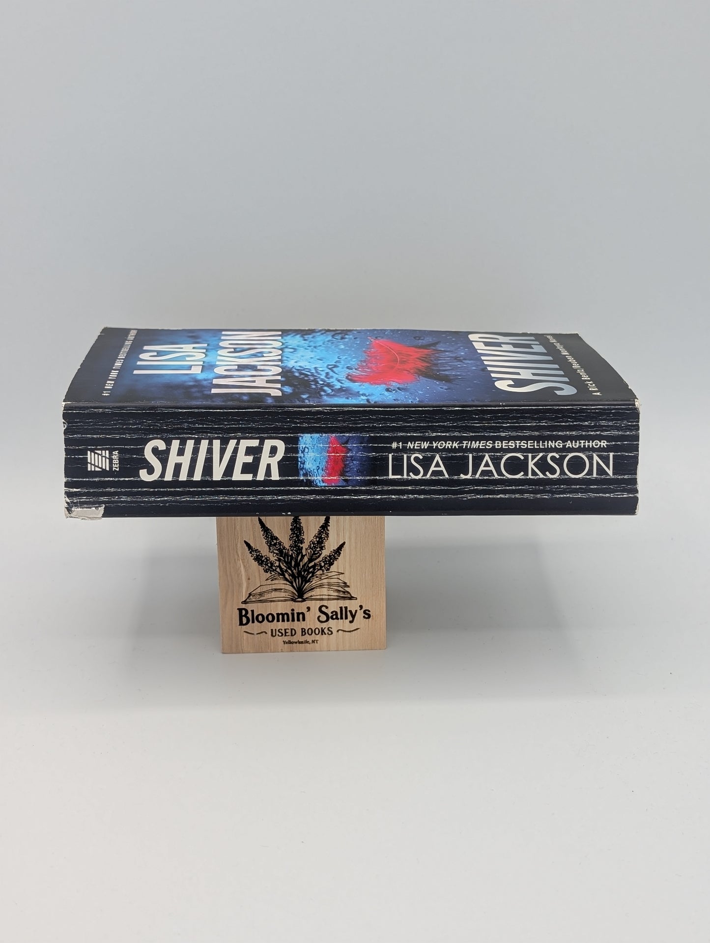Shiver (A Bentz/Montoya Novel)