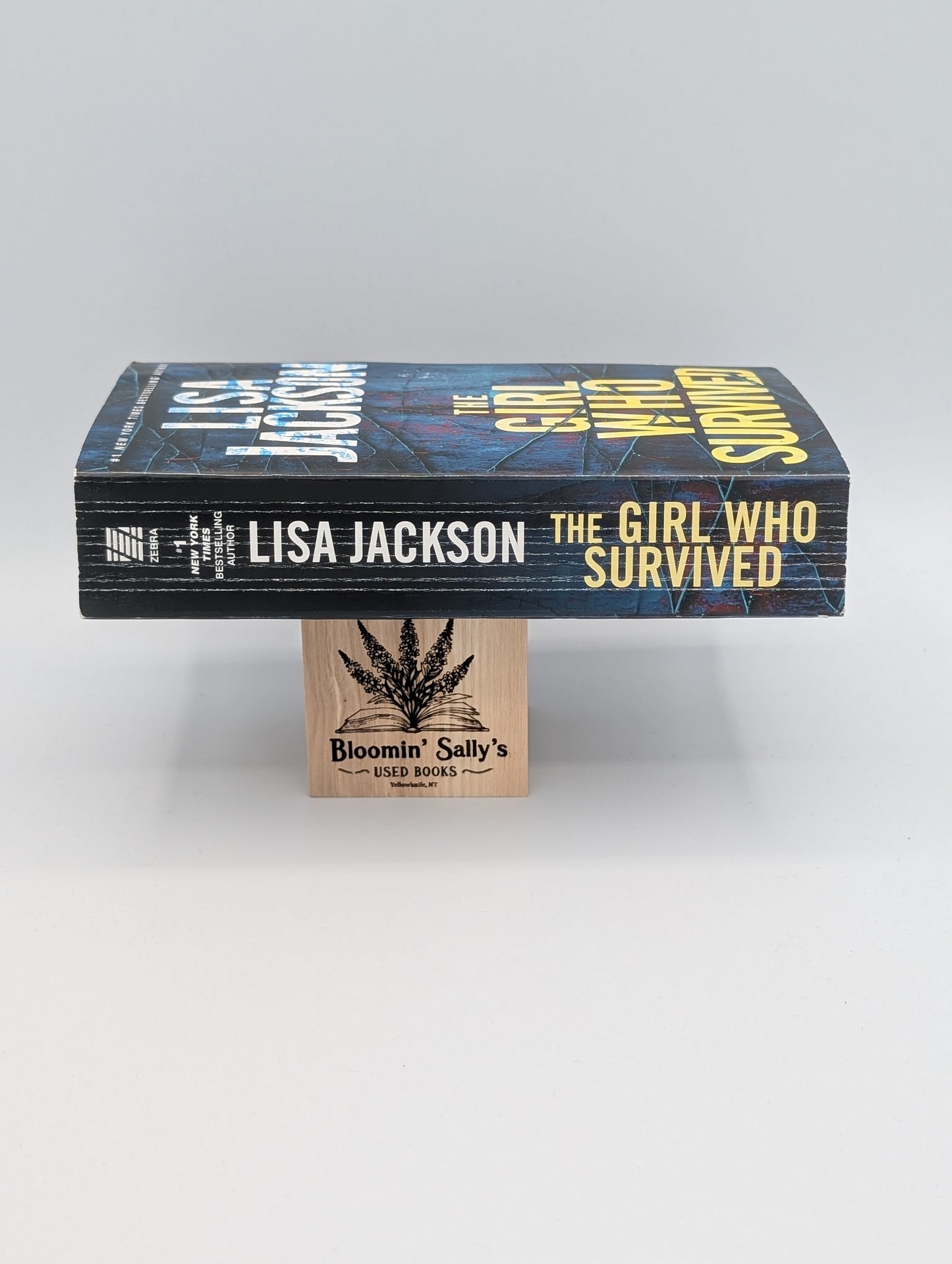 The Girl Who Survived: A Riveting Novel of Suspense with a Shocking Twist