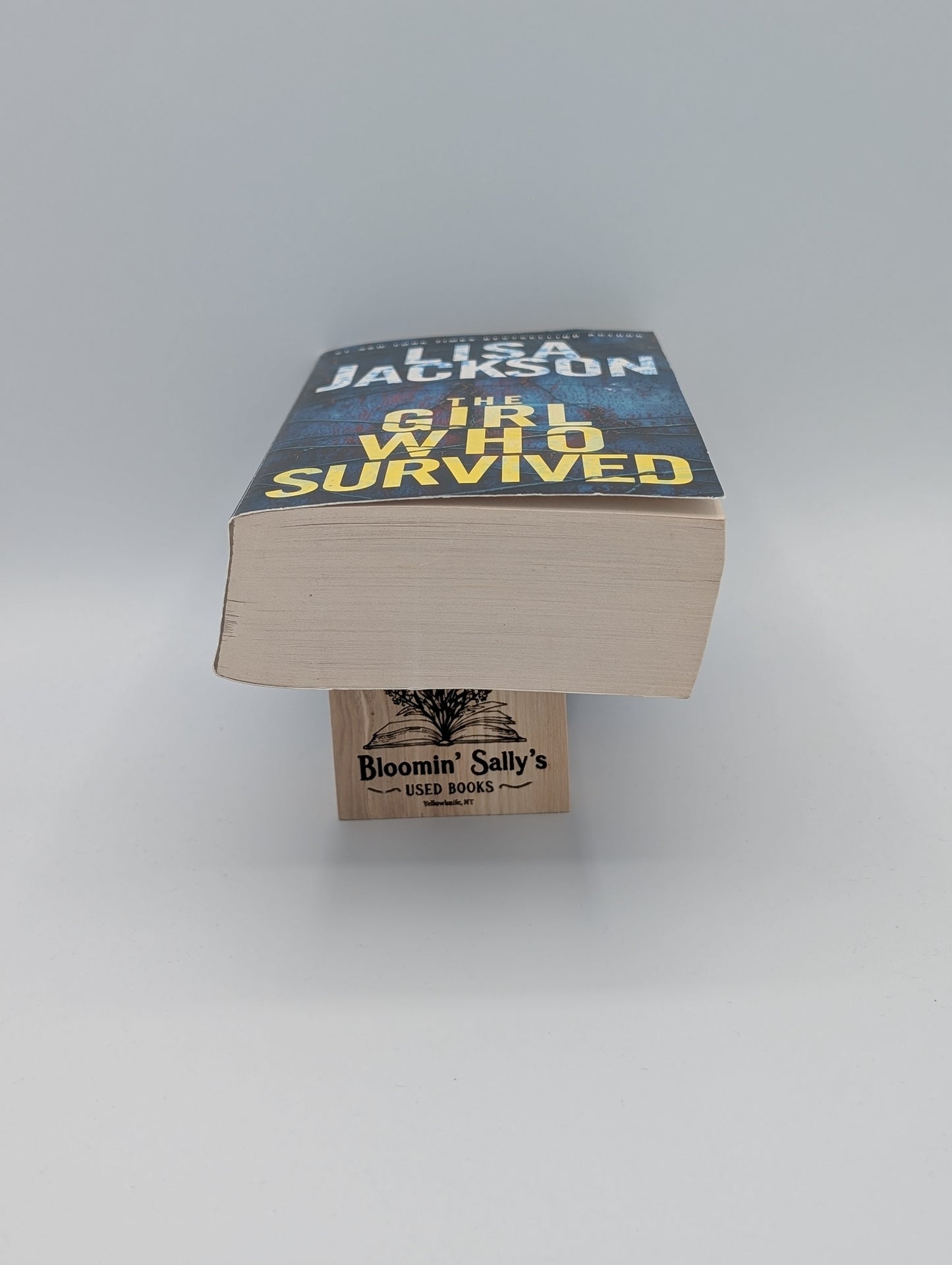 The Girl Who Survived: A Riveting Novel of Suspense with a Shocking Twist