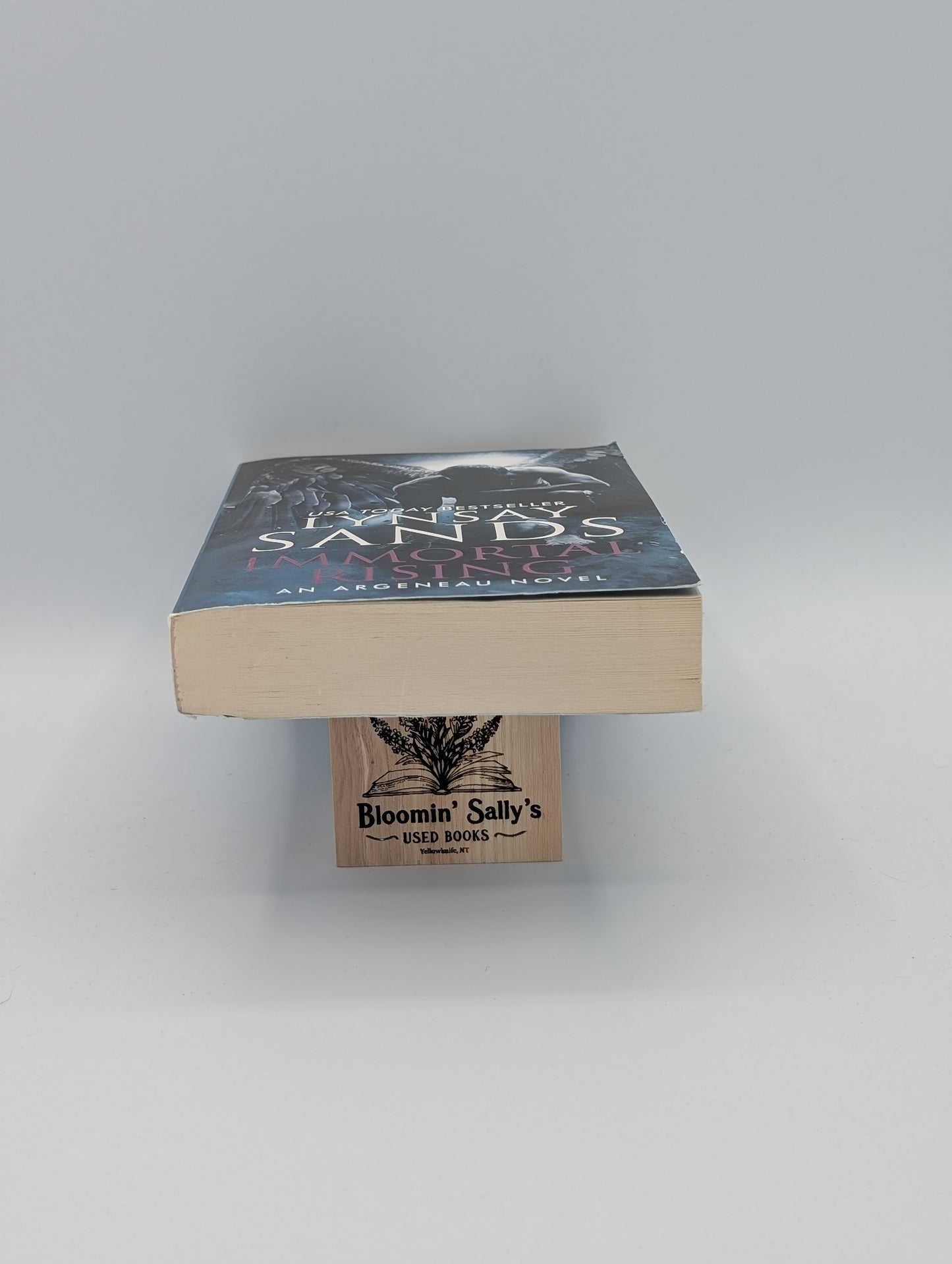 Immortal Rising (An Argeneau Novel, 34)
