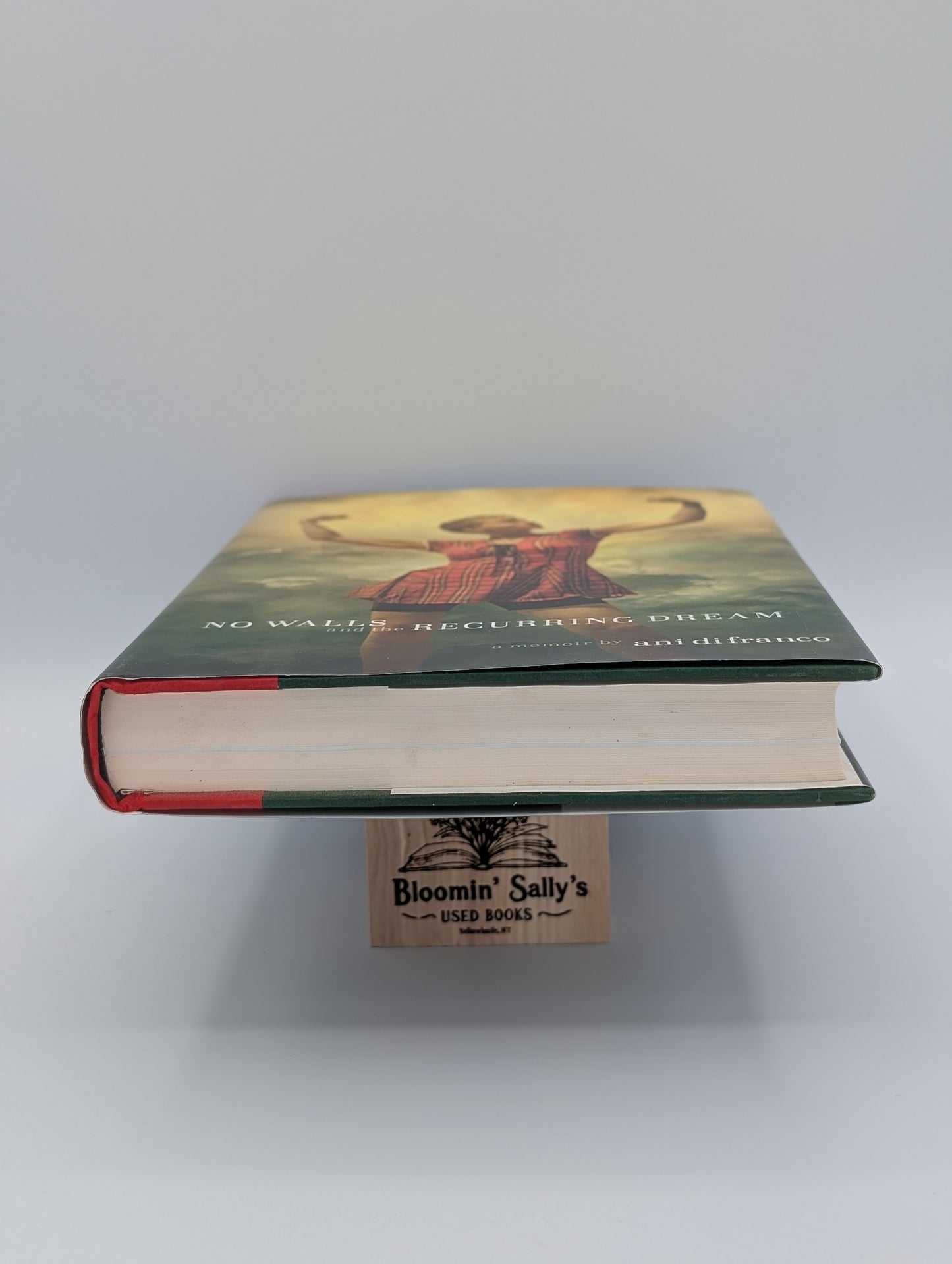 Sans murs et le rêve récurrent : un récit autobiographique