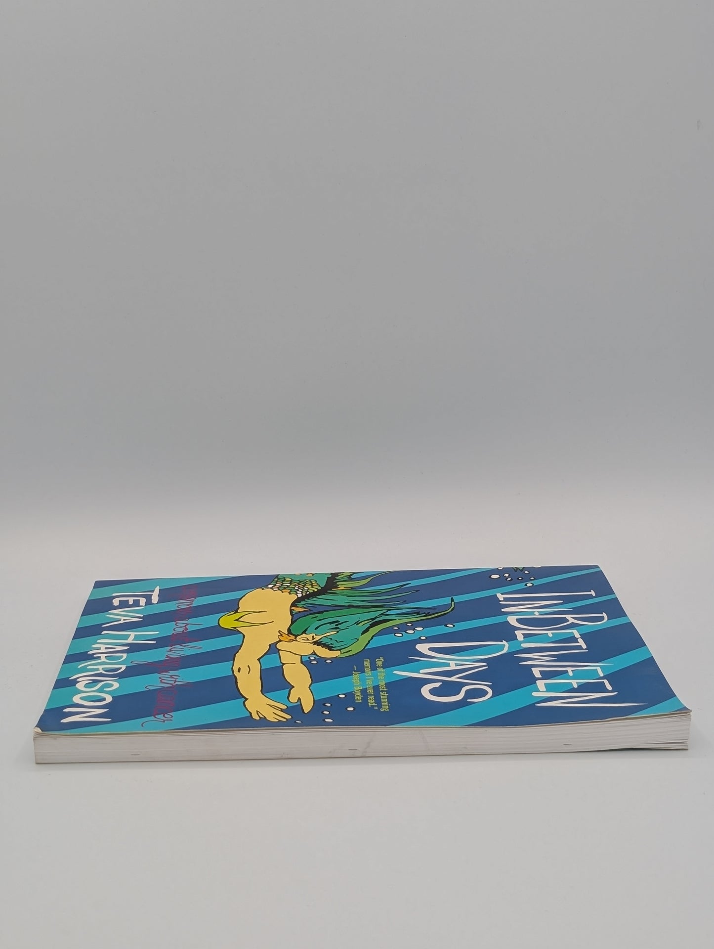 Entre deux jours : un récit autobiographique sur la vie avec le cancer