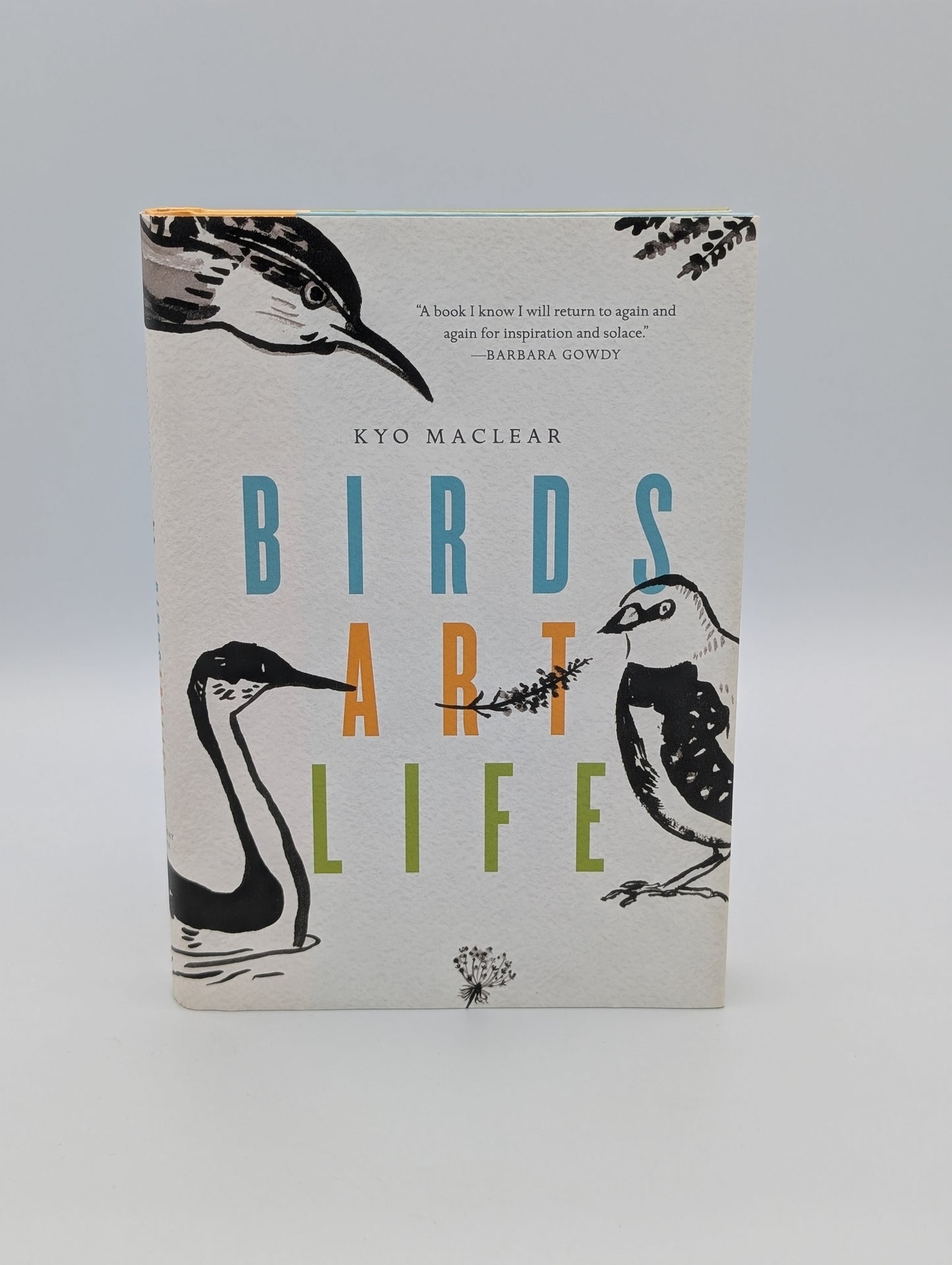 Oiseaux Art Vie
