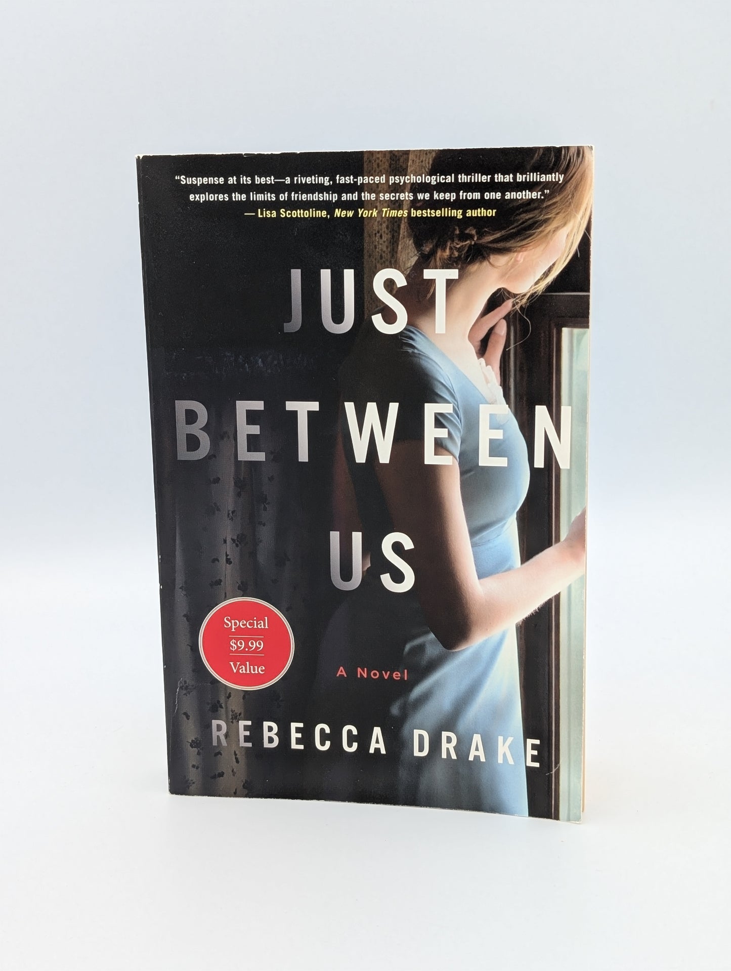 Just Between Us: A Novel