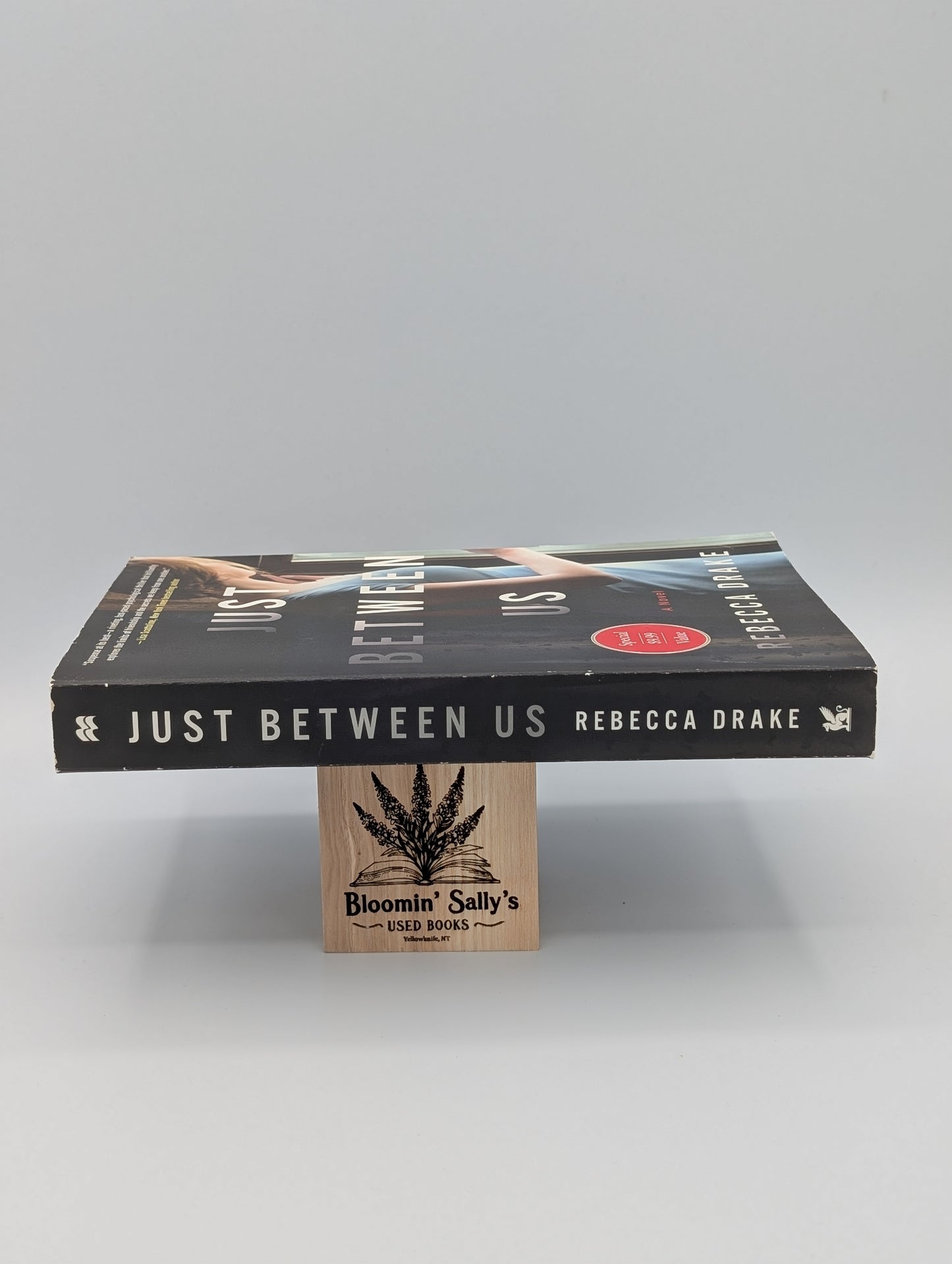 Just Between Us: A Novel