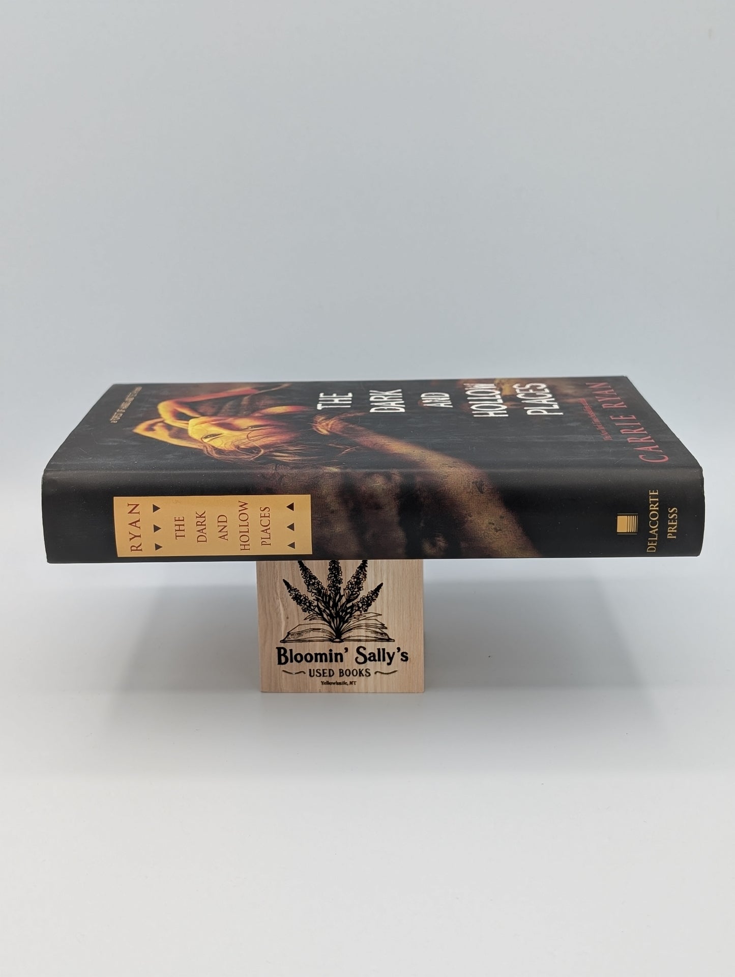 Les lieux sombres et creux (La forêt des mains et des dents, livre 3 - Excellent)